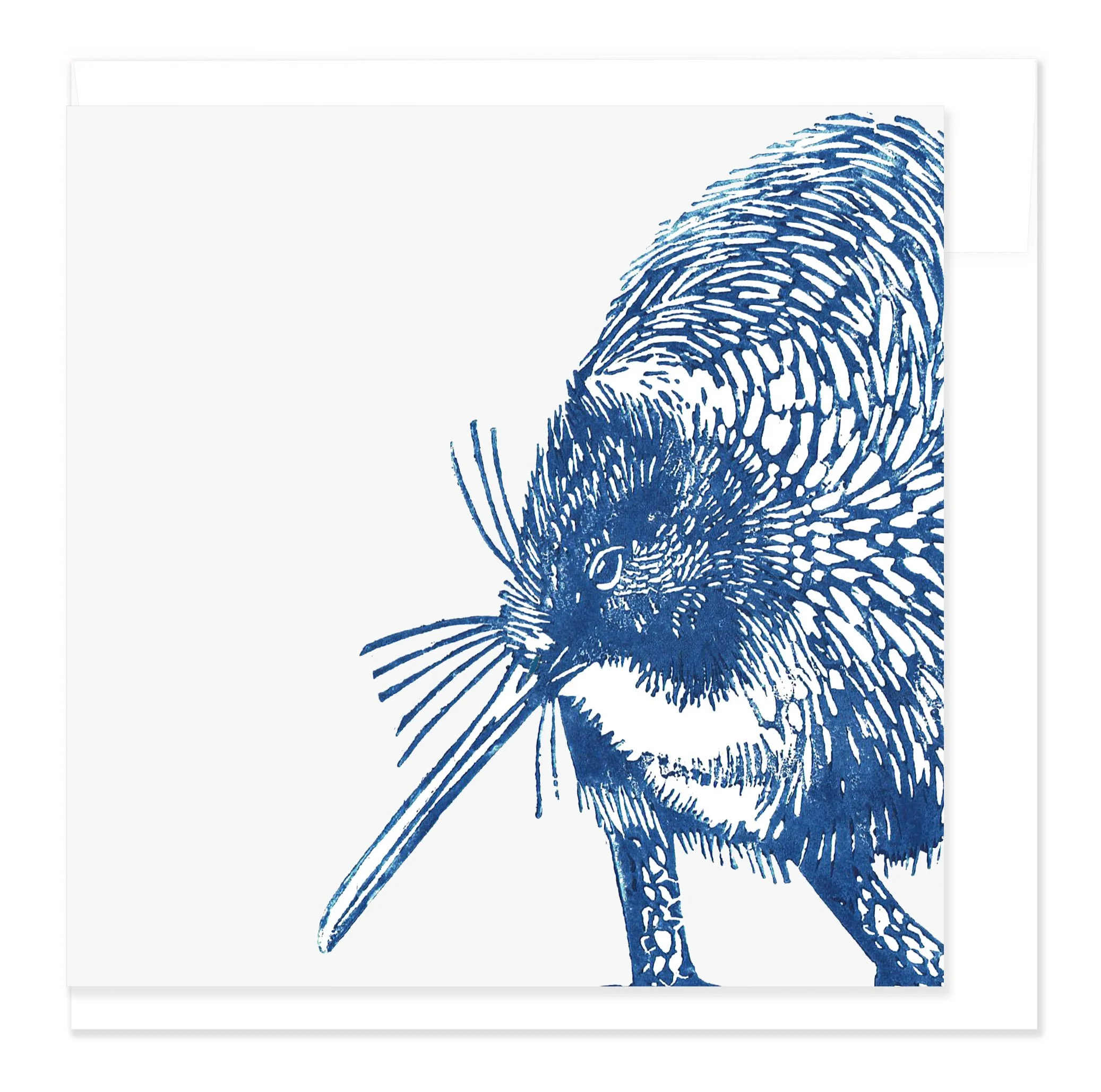 Kiwi greeting card