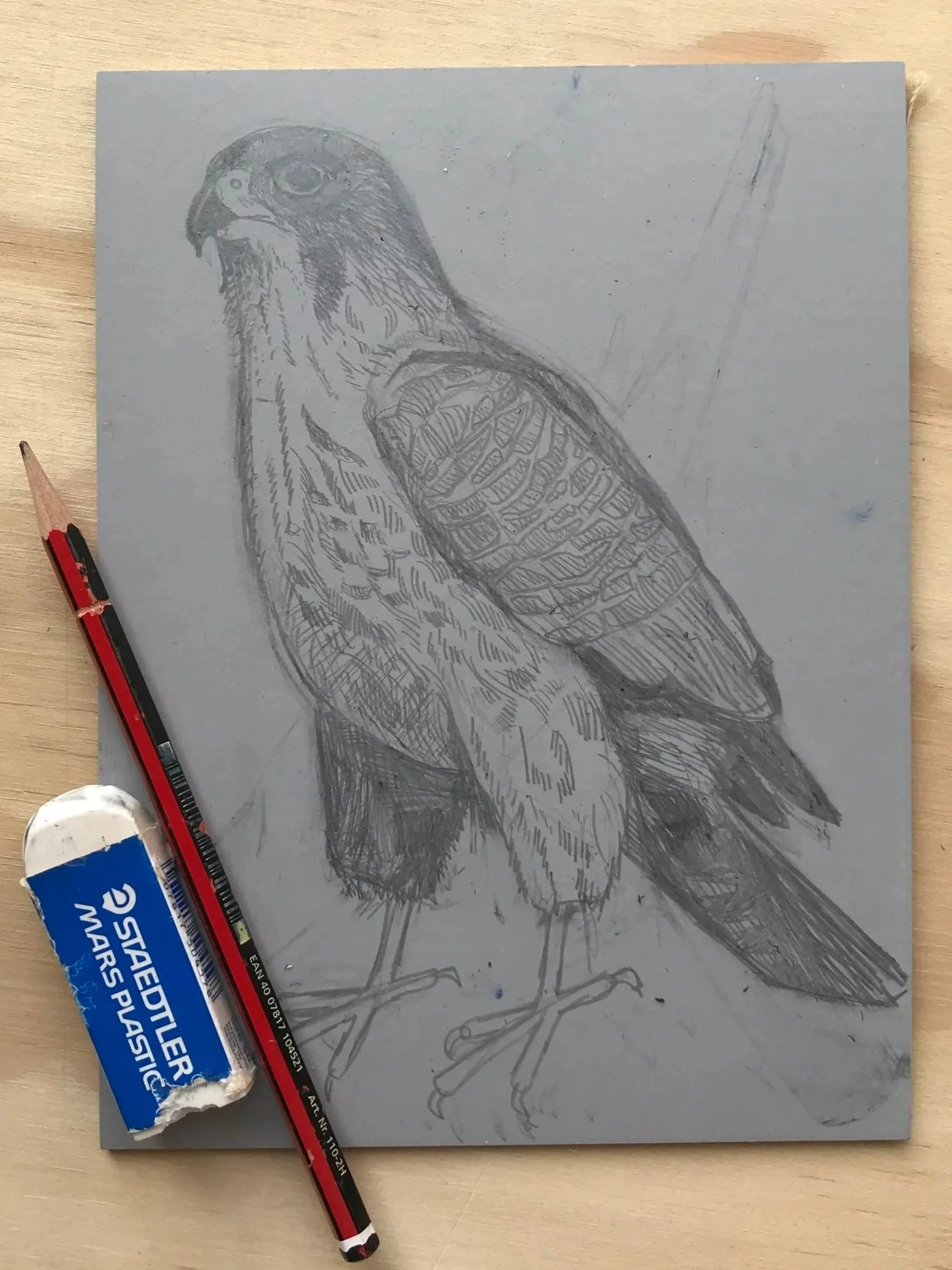 Pencil sketch of a bird on gray paper, accompanied by a red and black pencil and a torn blue Eraser.