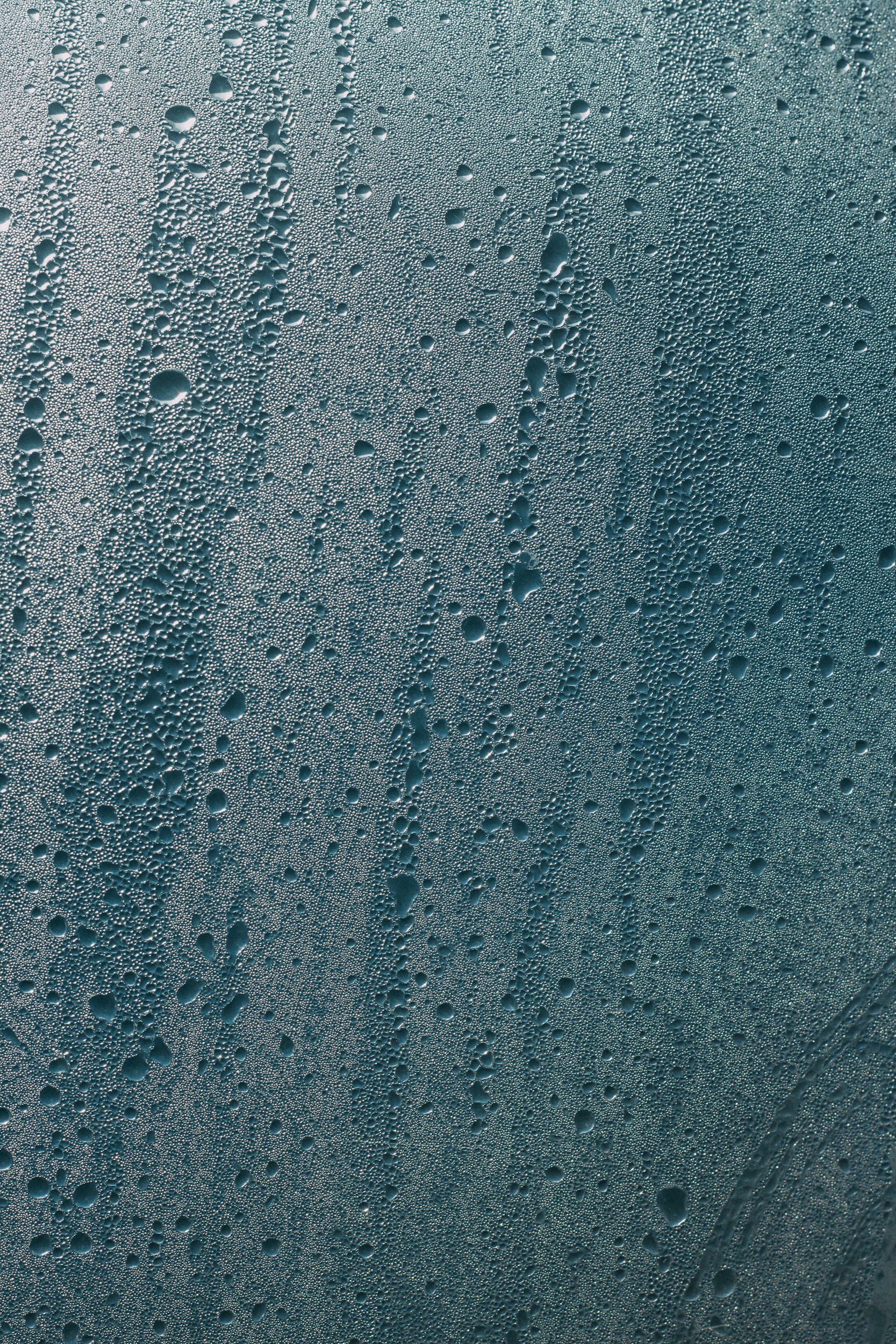 unsplash-image-SW8sKEBvbts.jpg