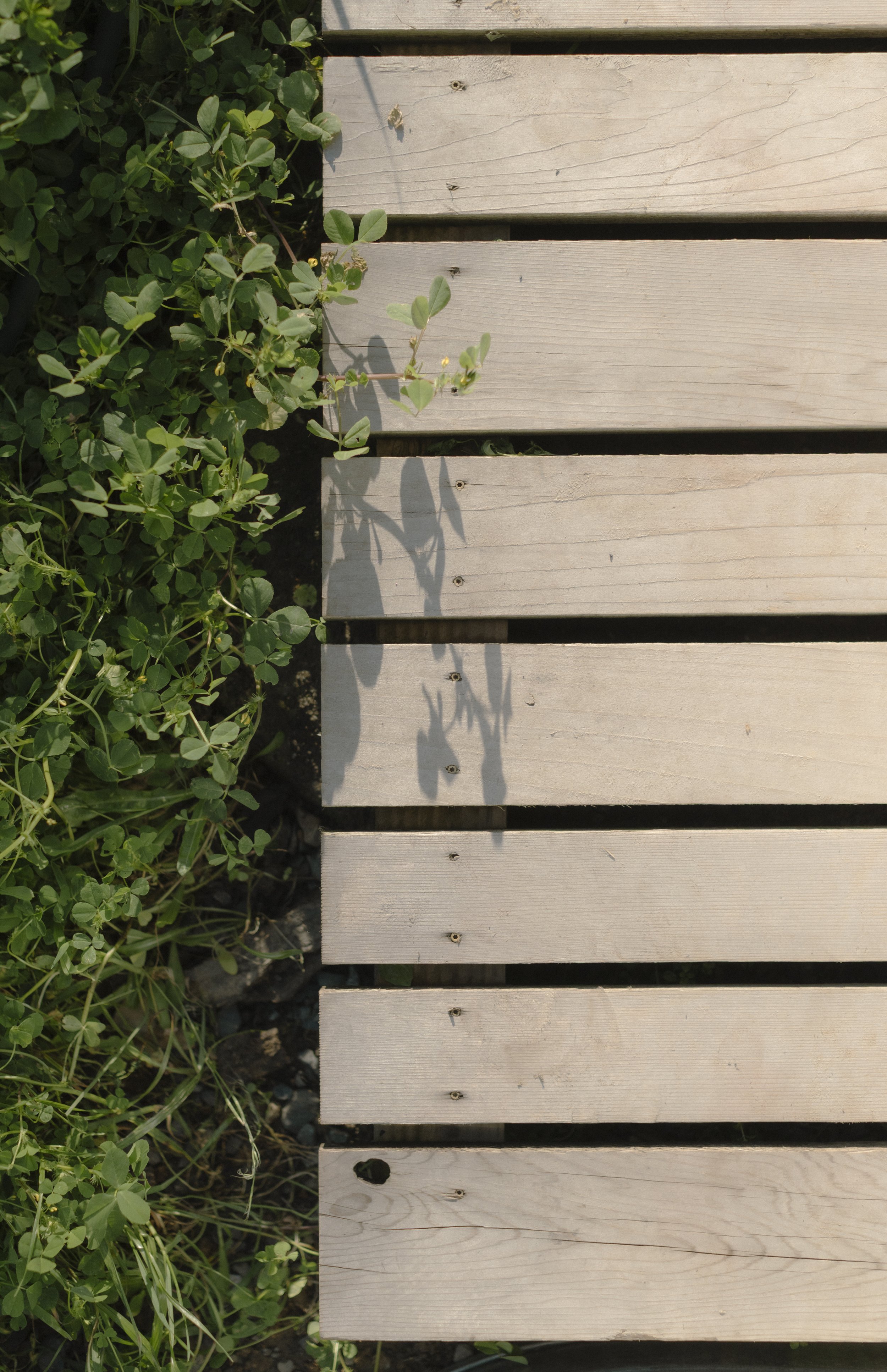 Kinship_Sauna_-7482.jpg