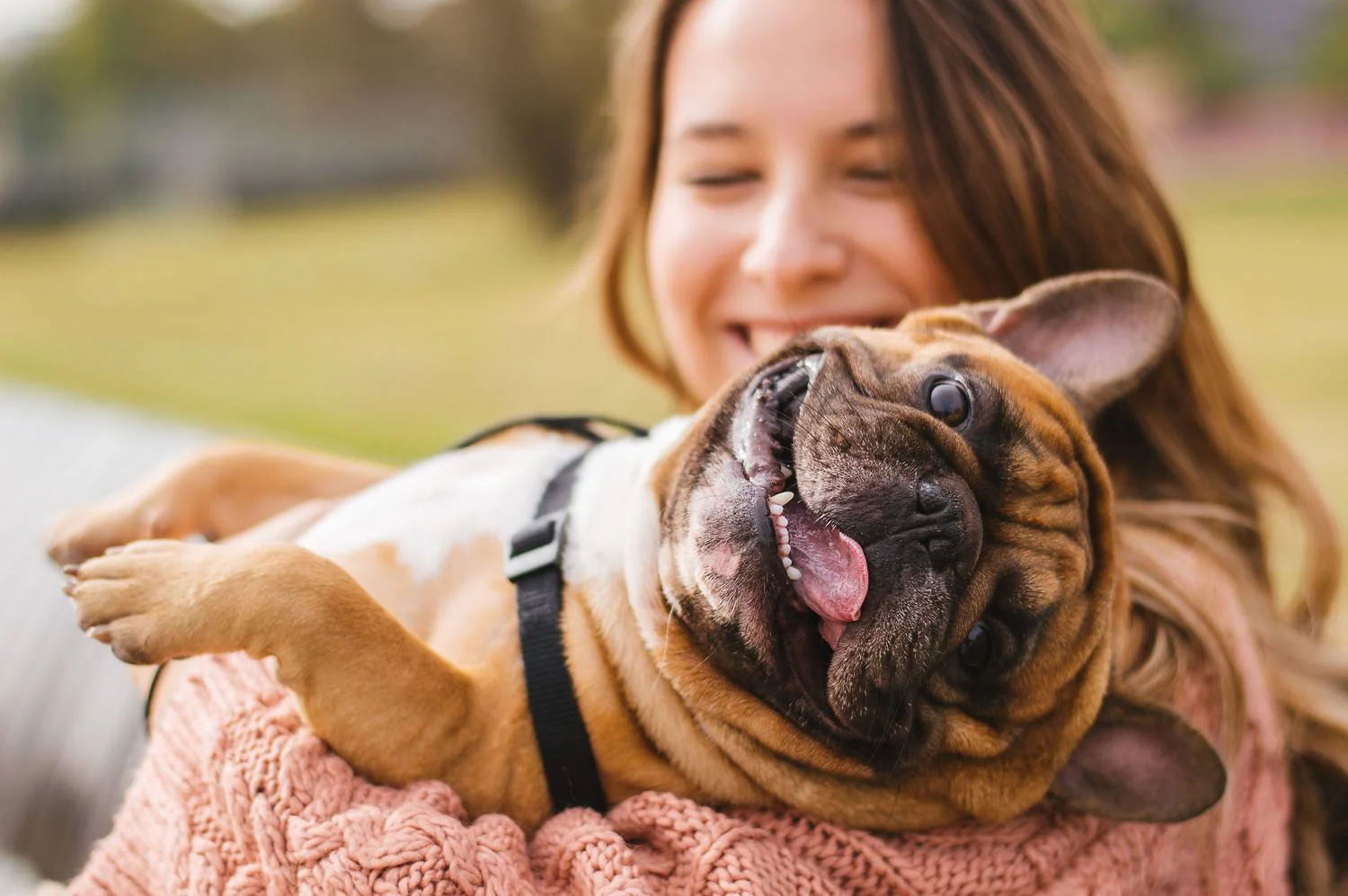 A woman with long brown hair smiling and hugging a French Bulldog outdoors in a park.