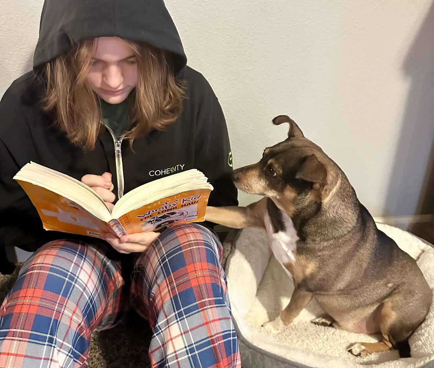 A person wearing plaid pajama pants and a black hoodie reading a book while sitting on the floor with a dog sitting next to them, touching the person's arm with its paw, in a room with beige walls and a gray dog bed.