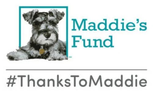 Logo for Maddie's Fund featuring a black and gray dog with a tag, and the text 'Maddie's Fund' and '#ThanksToMaddie'.