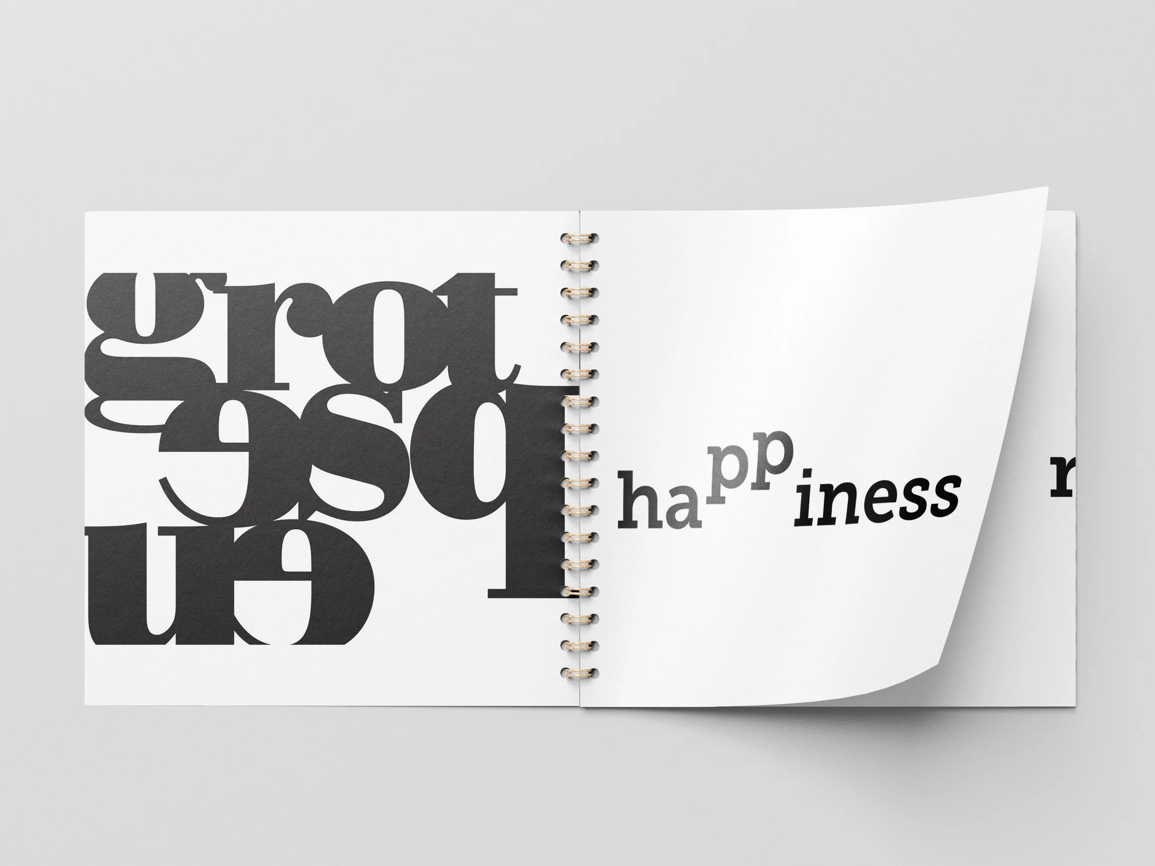 type specimen_3.jpeg