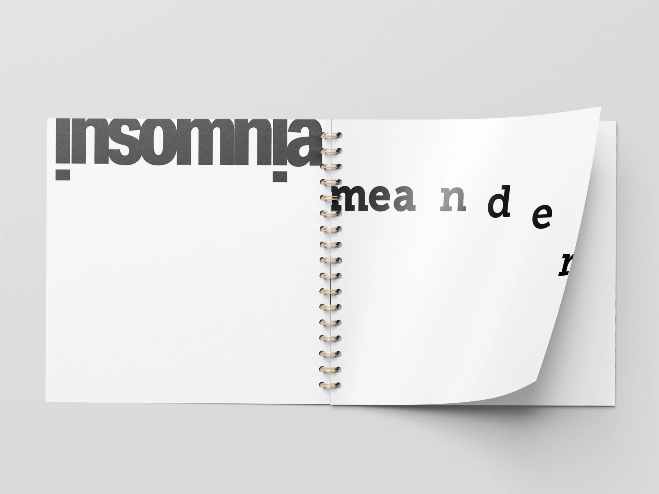 type specimen_4.jpeg