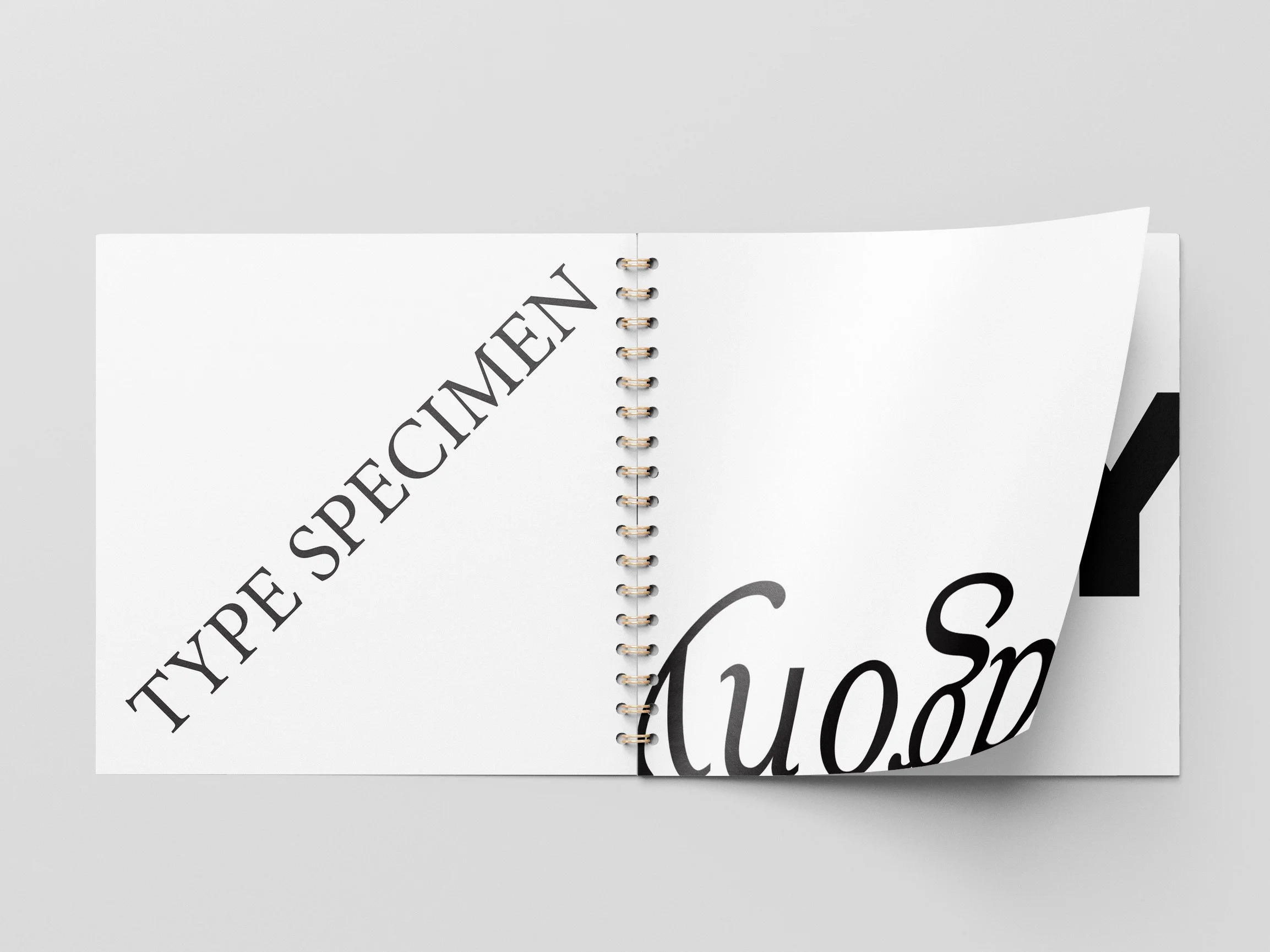 type specimen_1.jpeg