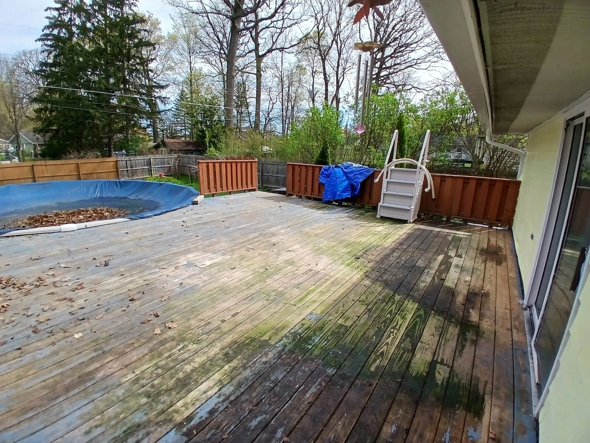 20260423_104651.jpg