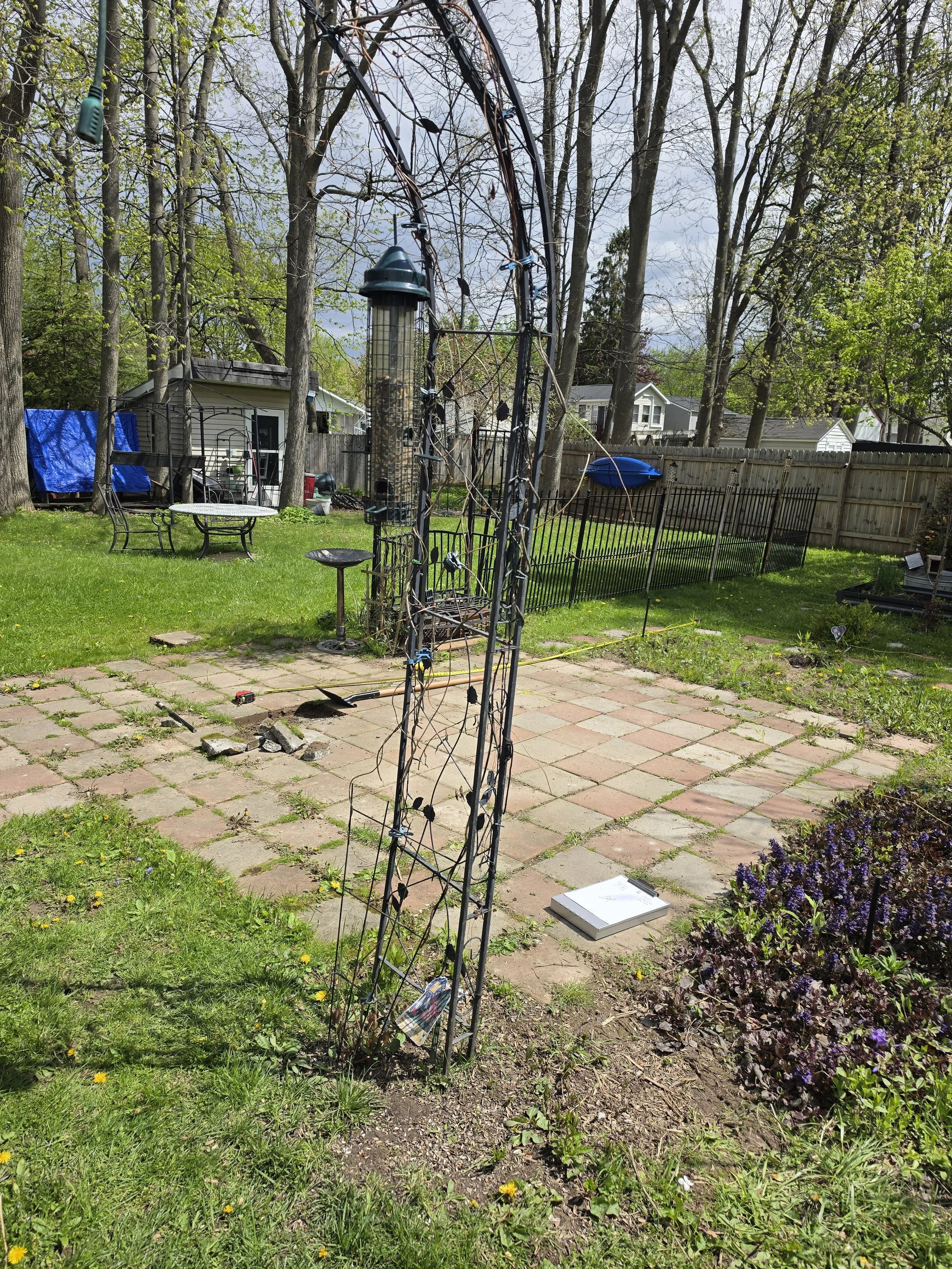 20260511_112950.jpg