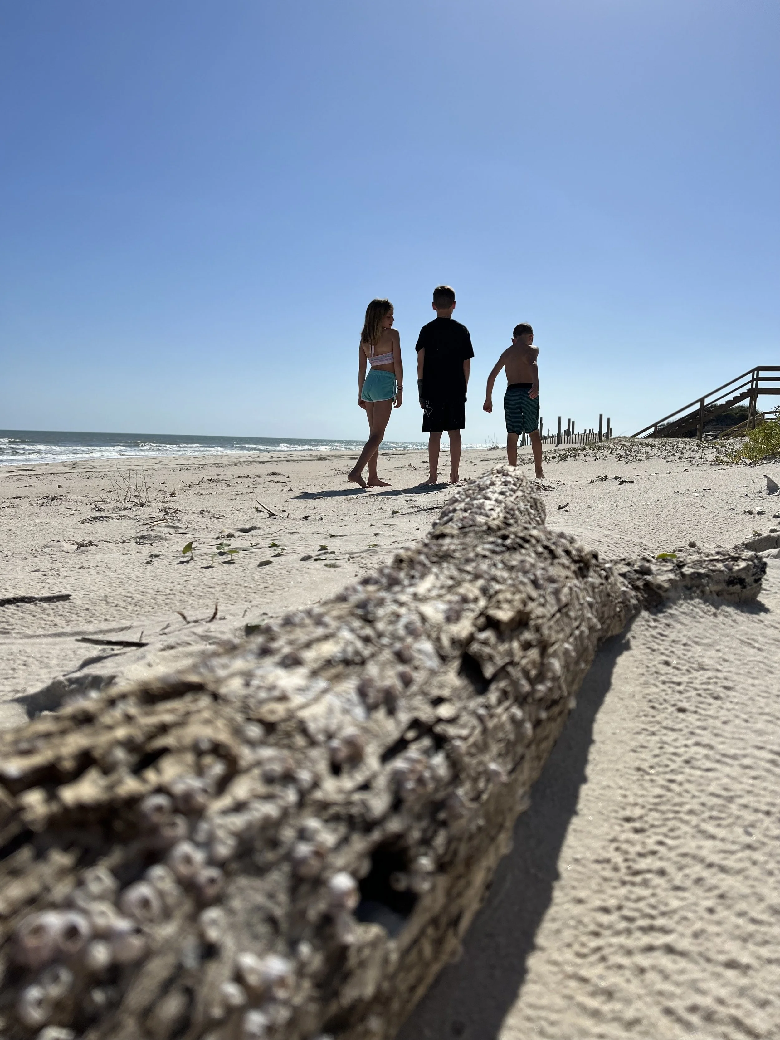 baby, brothers and sister beach mini photoshoot Chattanooga TN, professional photographer 