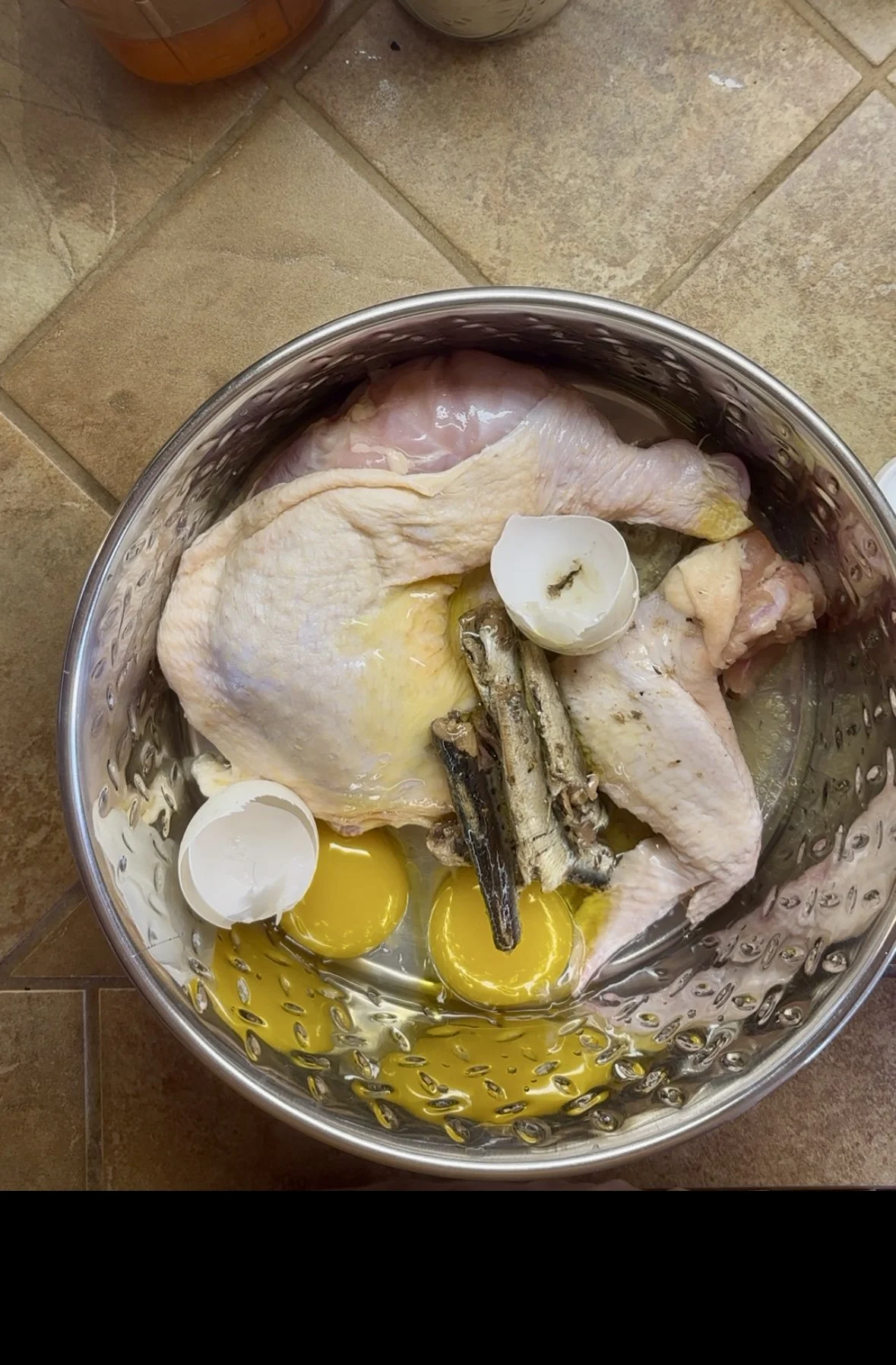 A Practical Guide to Raw Feeding Your Dog (Without Losing Your Mind)