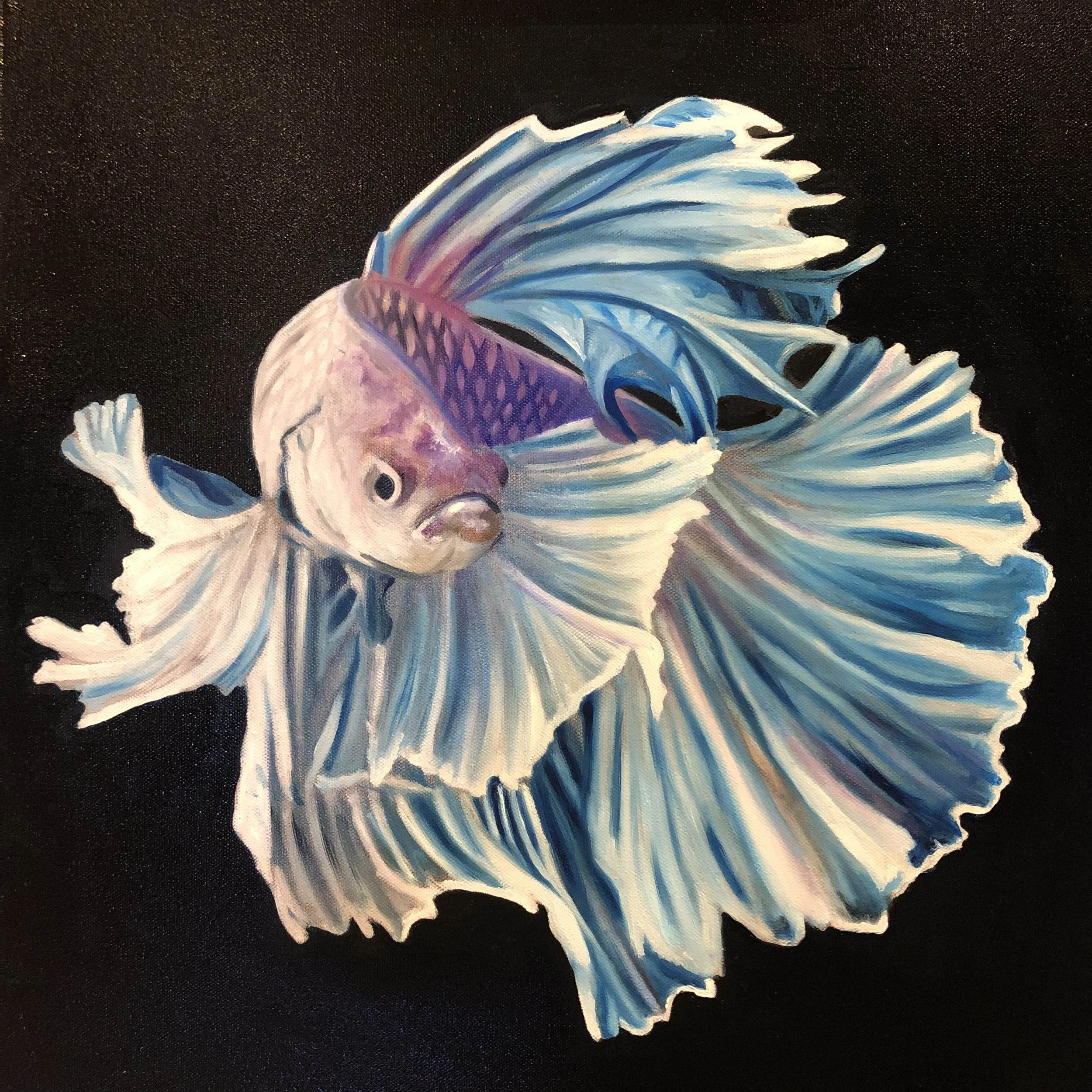 18" x 18", oil on canvas