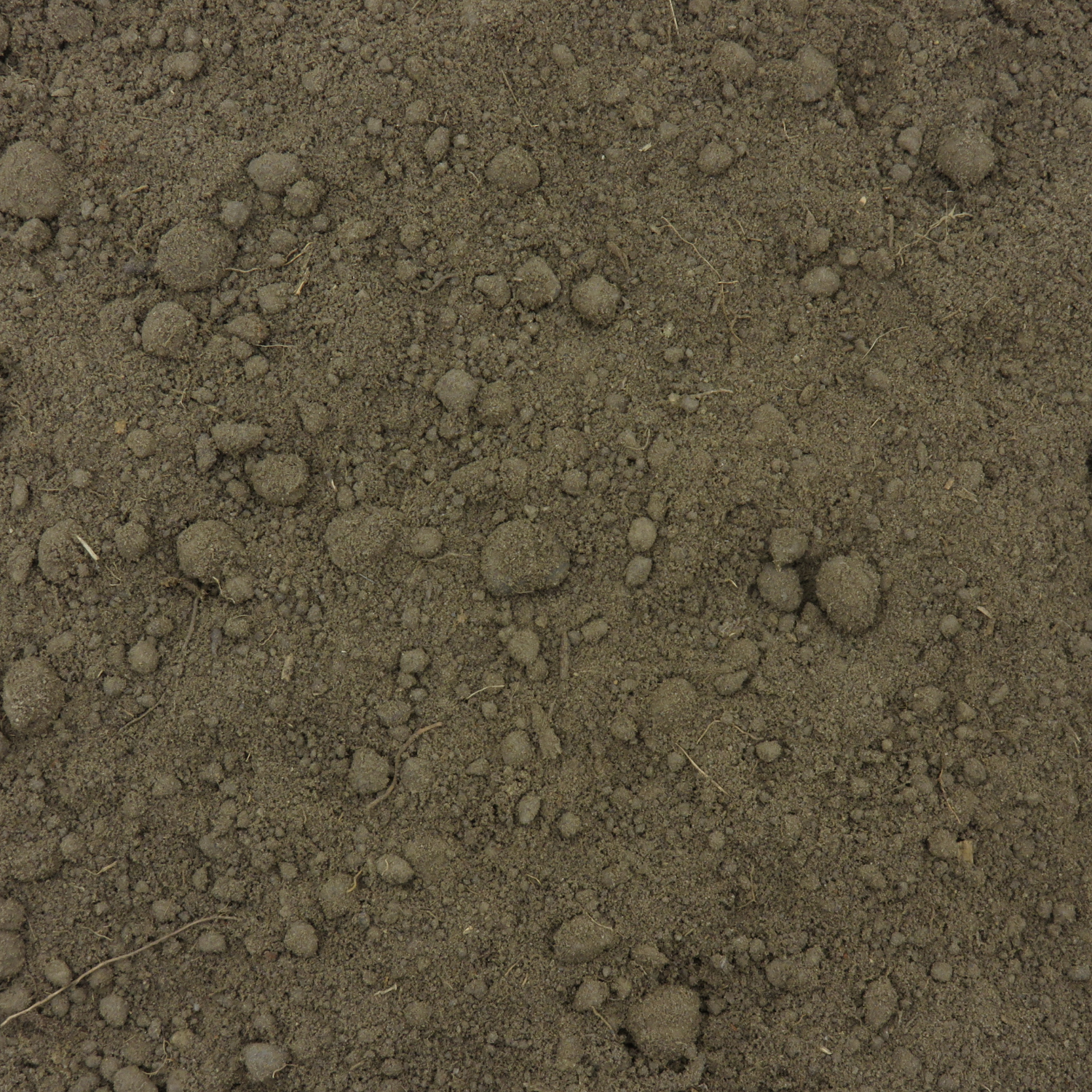 Screened Soil 16mm