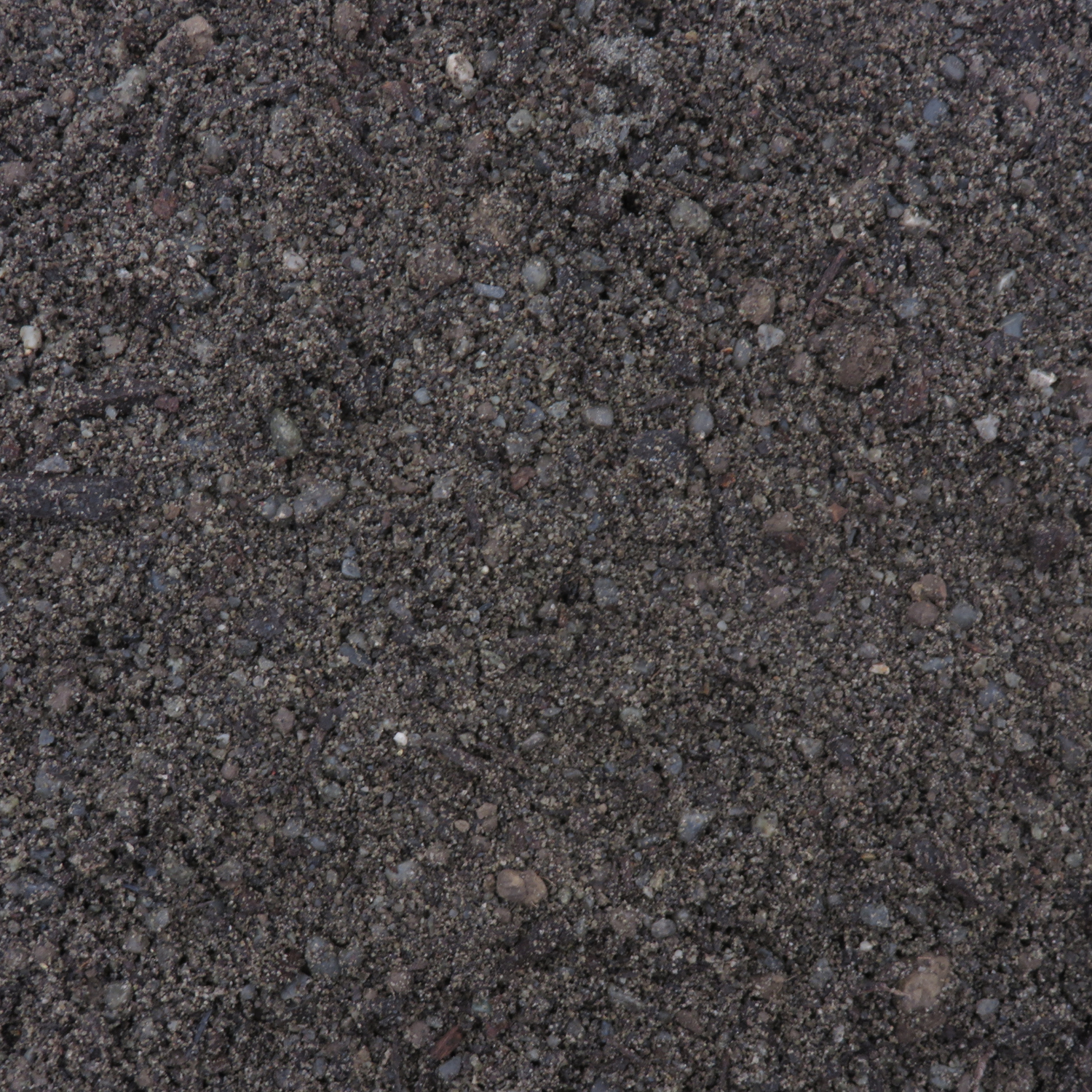 Rain Garden Mix - CRT3