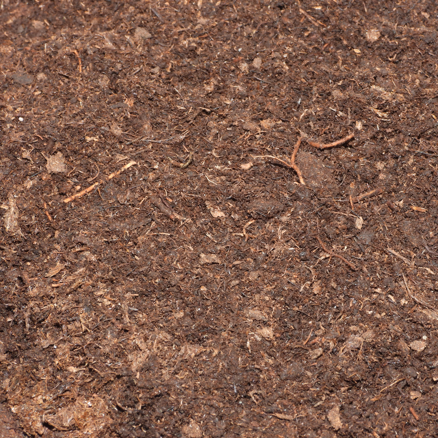 Screened Peat