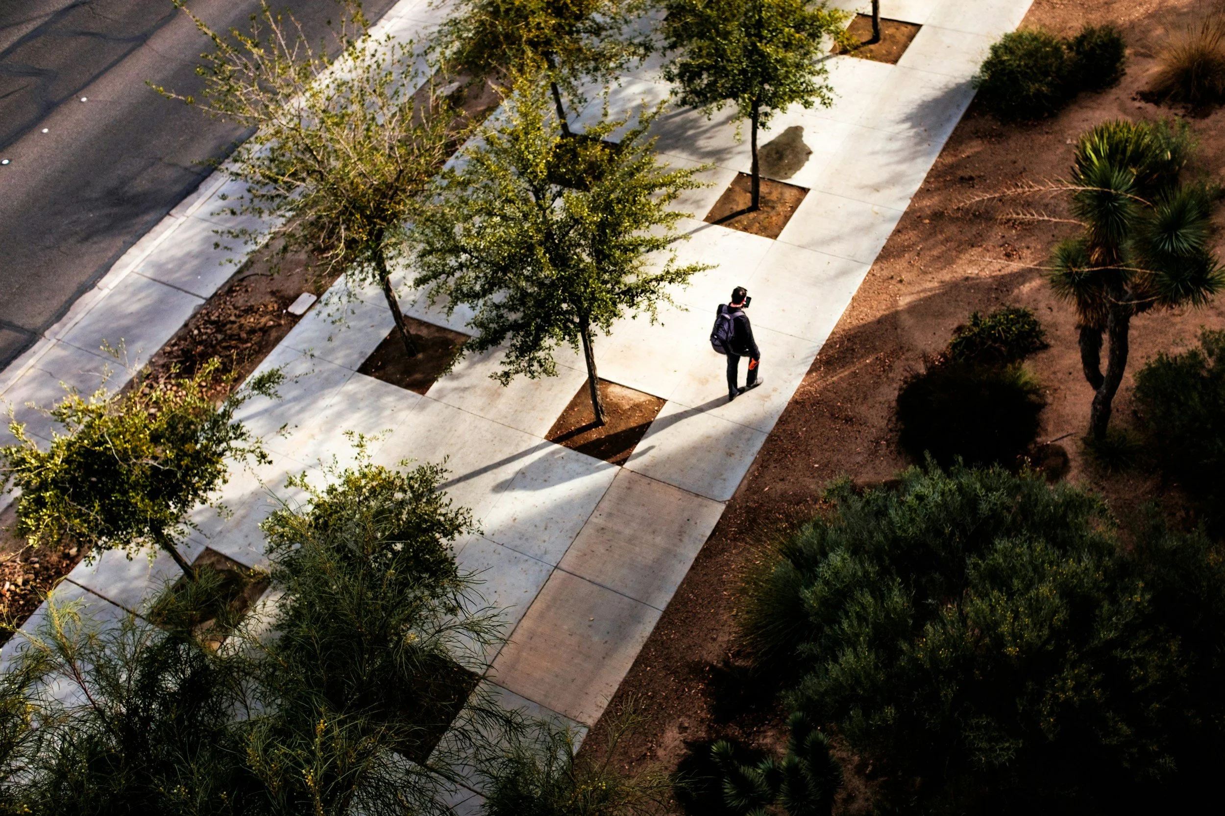 An aerial view of a sidewalk with trees and bushes, a person walking with a backpack and carrying a bag, and a street on the left side.