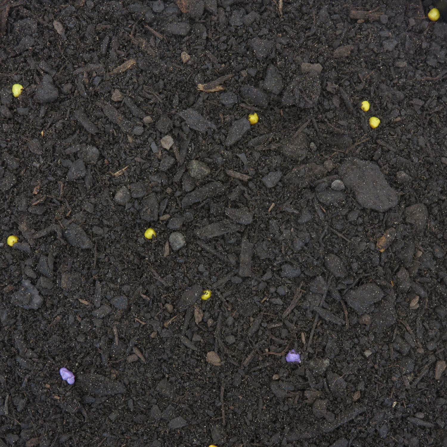 Potting Mix 16-18 month