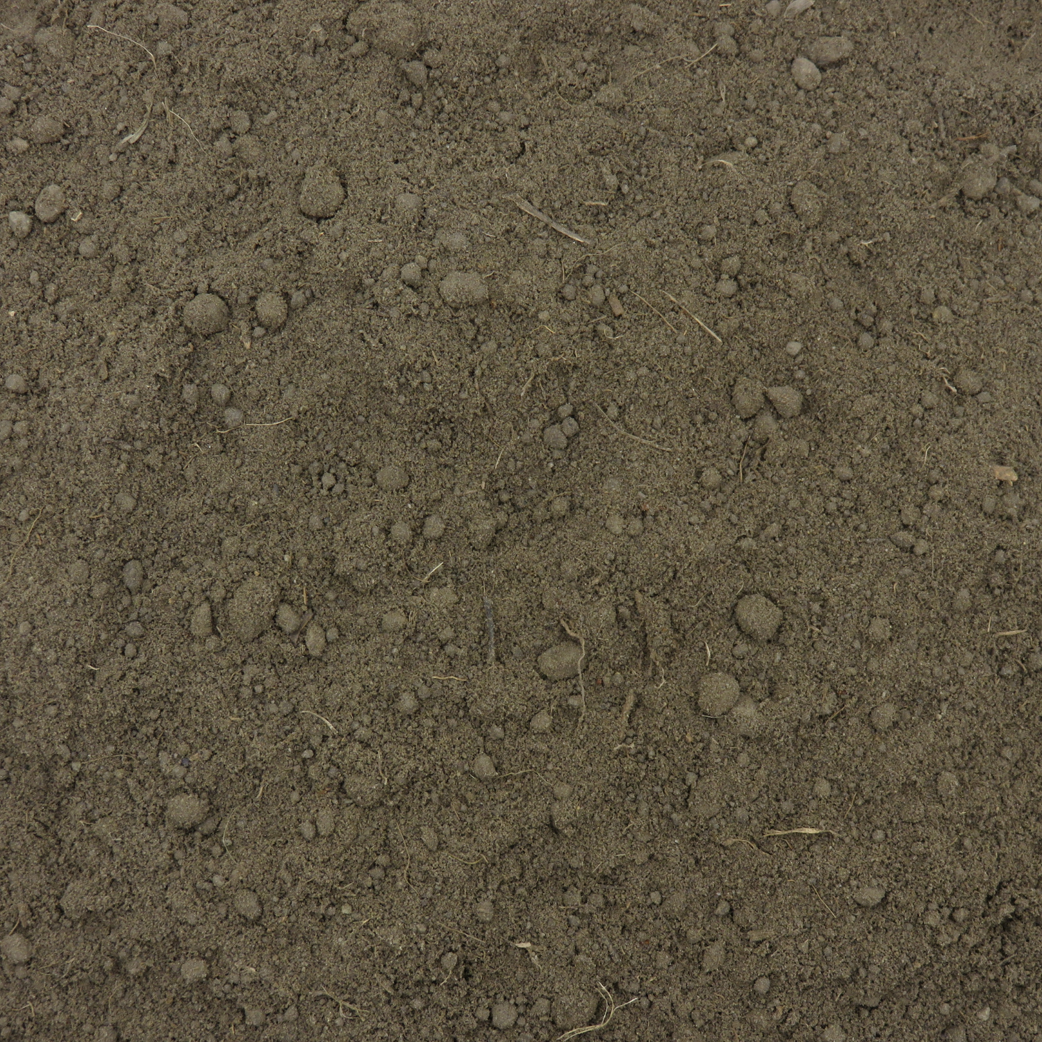 Screened Soil 10mm