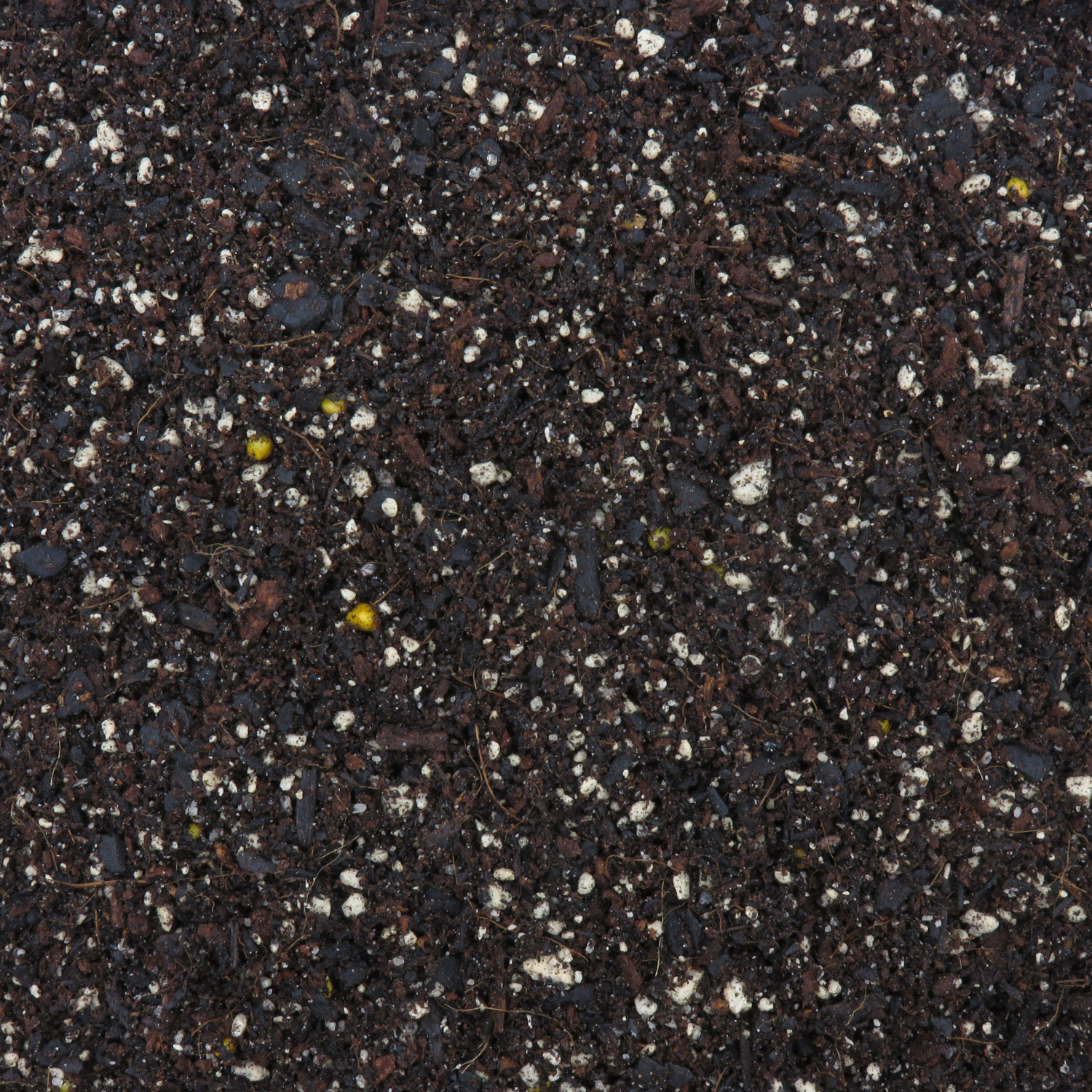 Propagation Mix