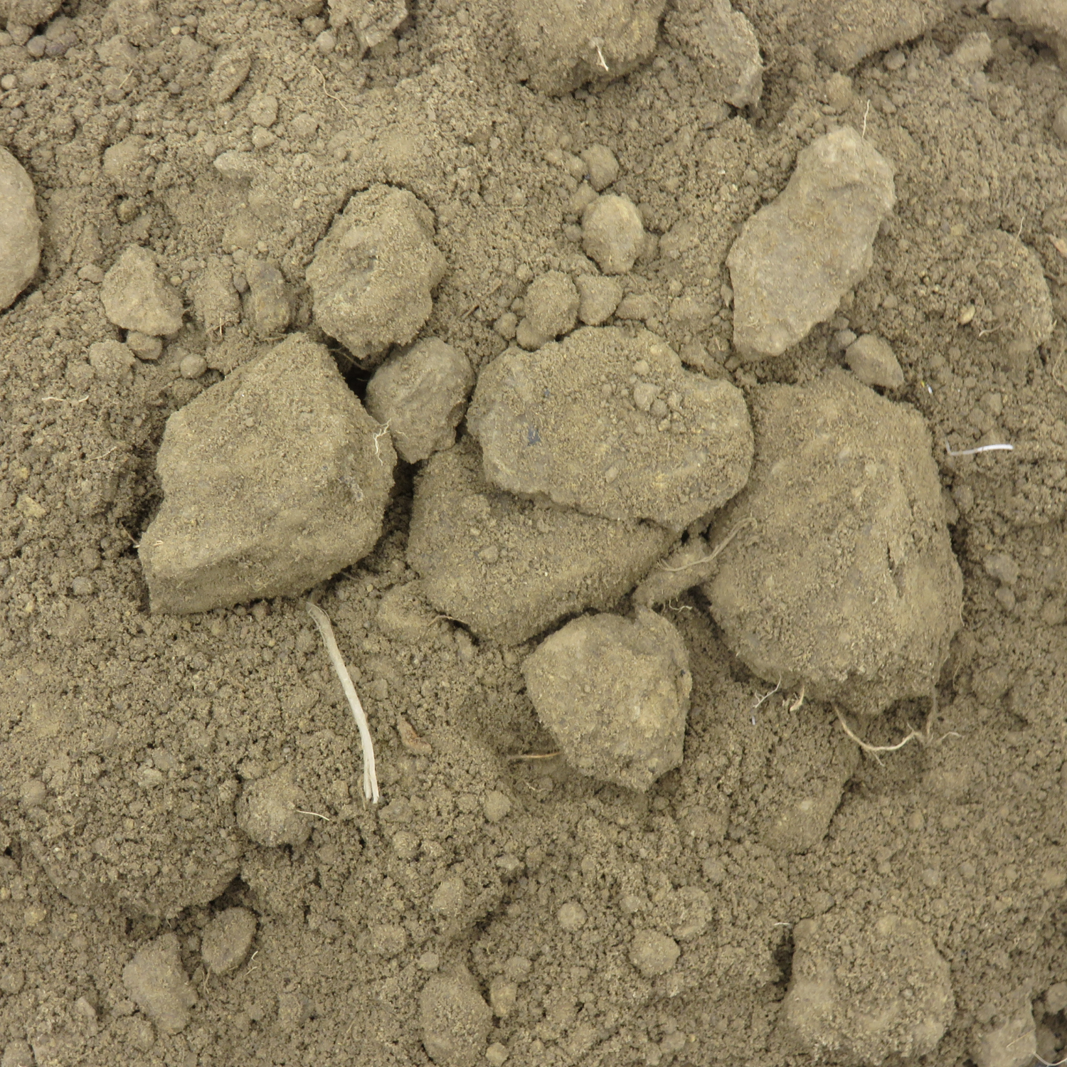 Unscreened Soil