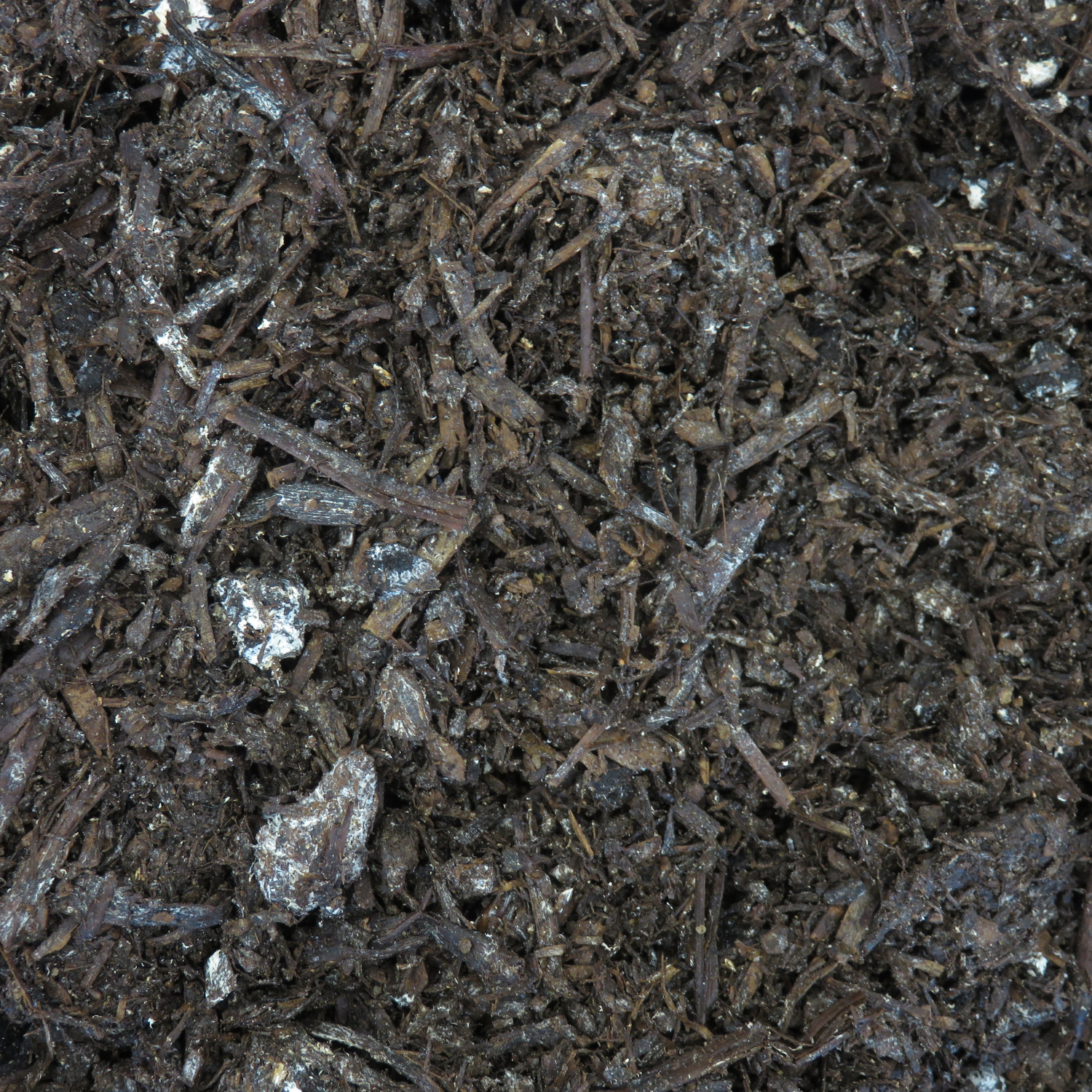 Mushroom Compost