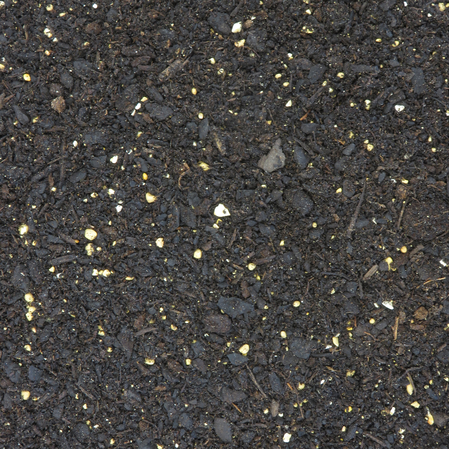 Organic Seed Raising Mix