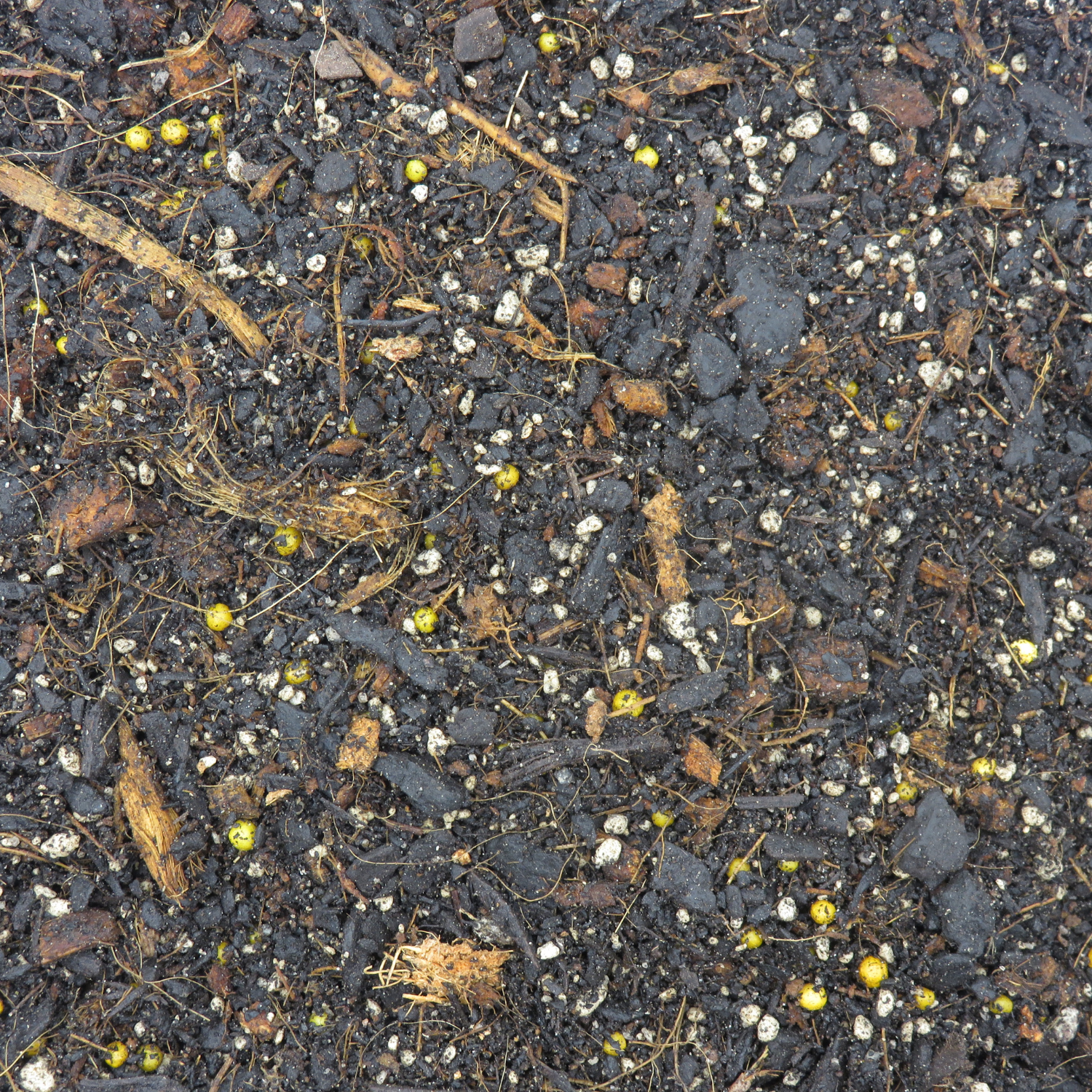 Green Roof Mix Boost