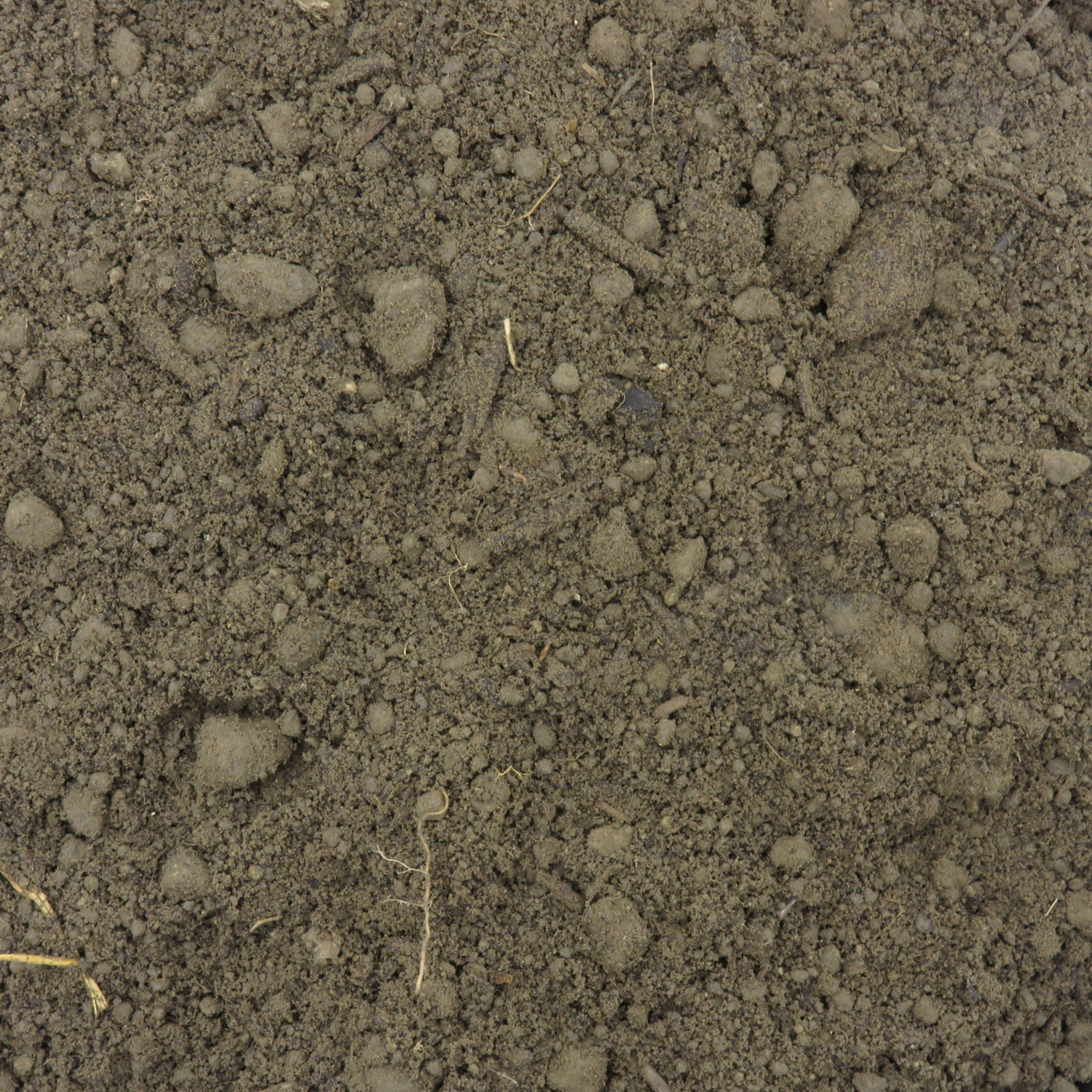 Tree Pit Mix Bio