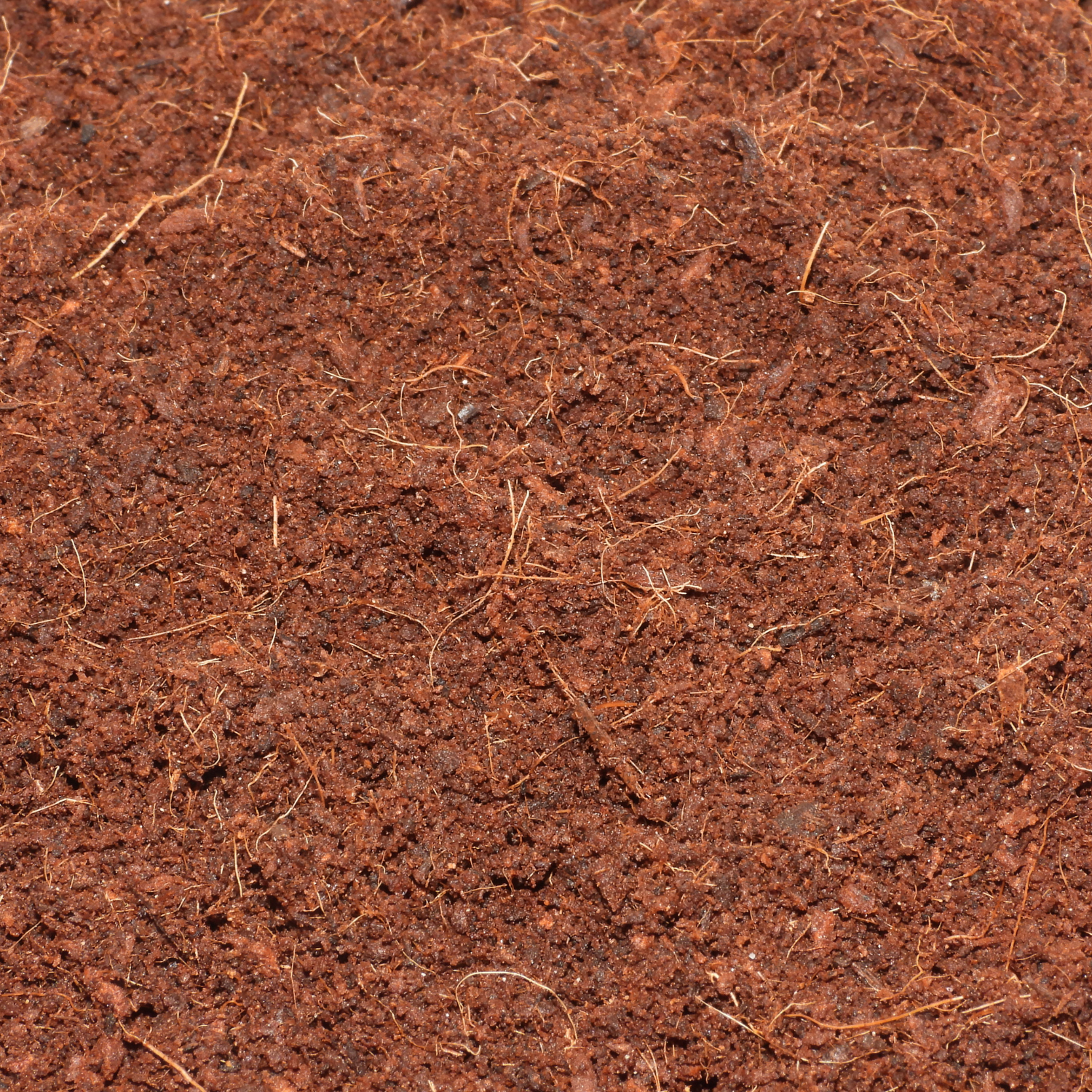 Coir G1 - Fine Grade