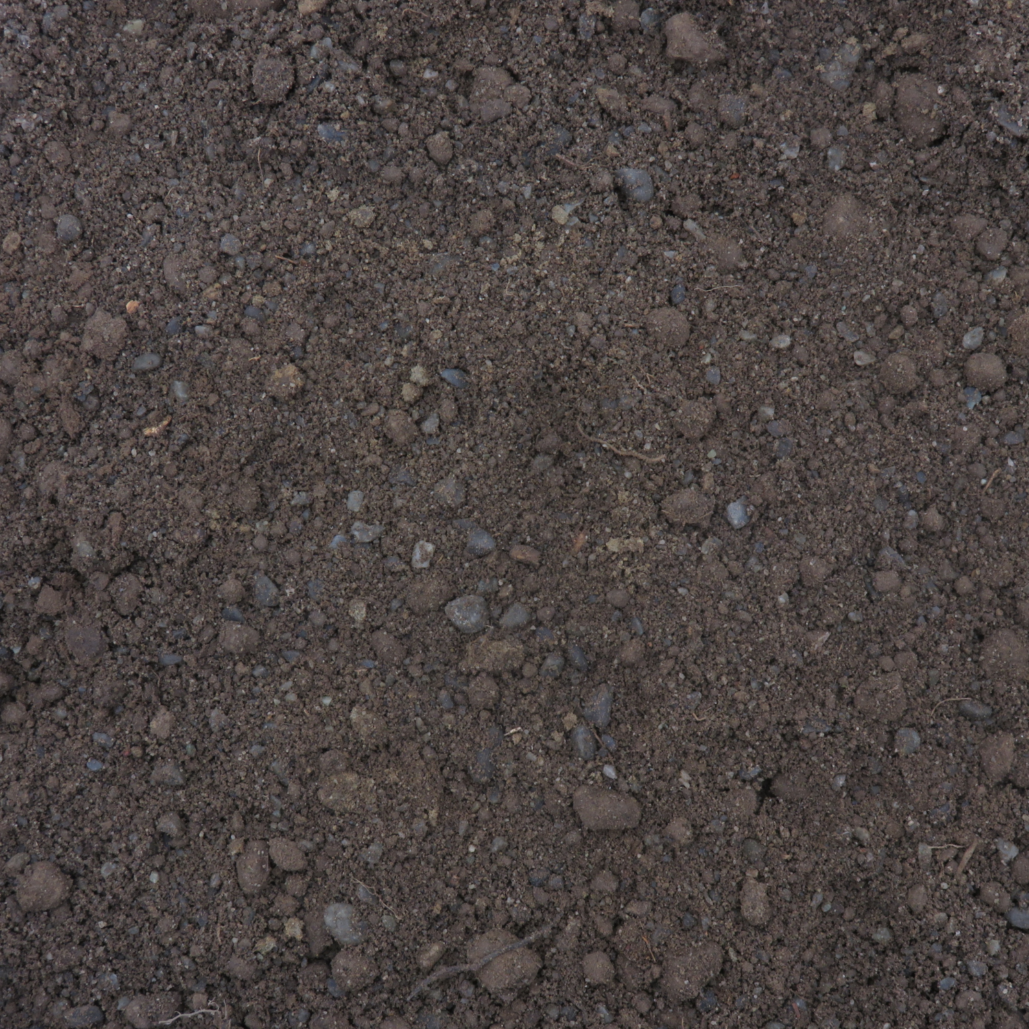 Swale Mix