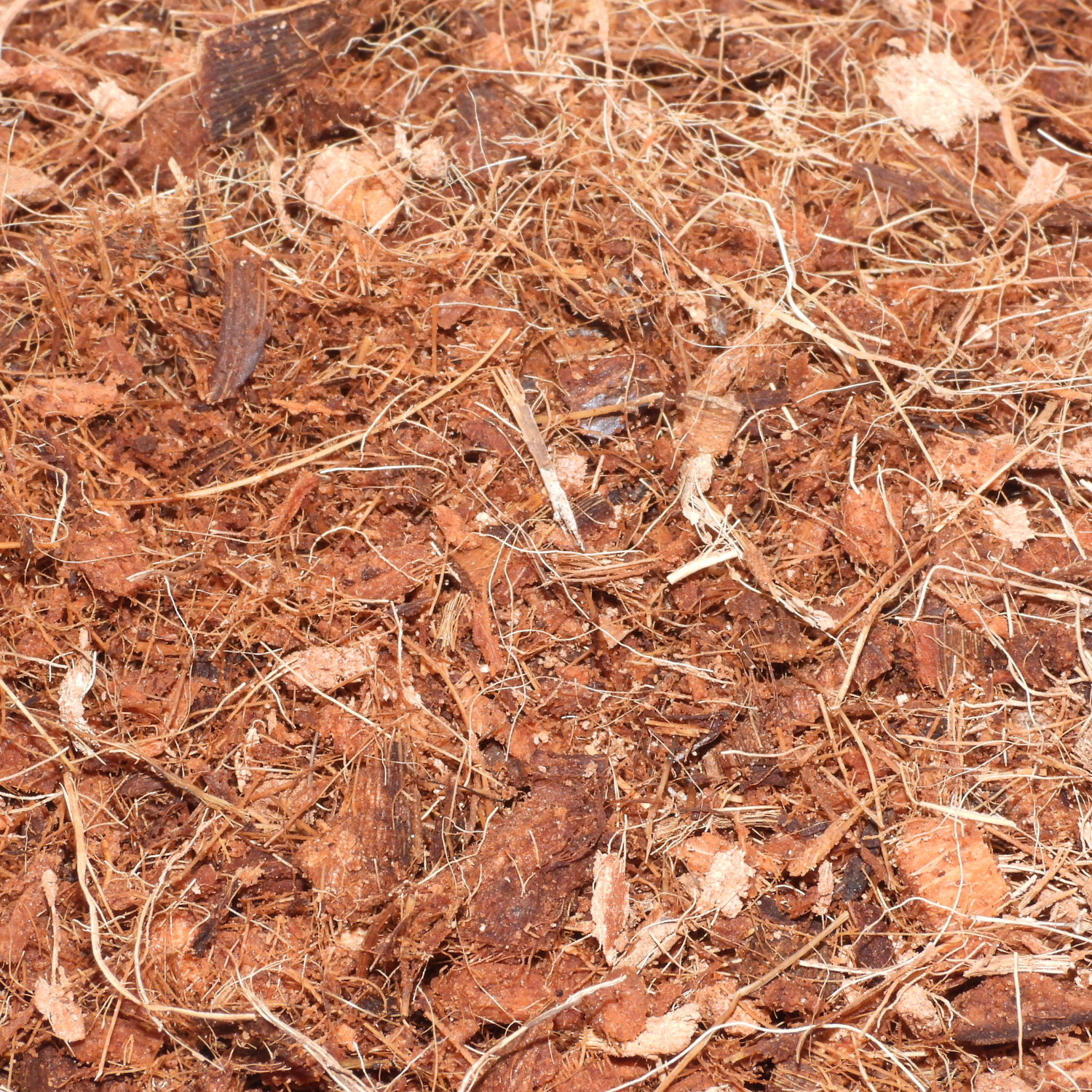 Coir G2 - Coarse Grade