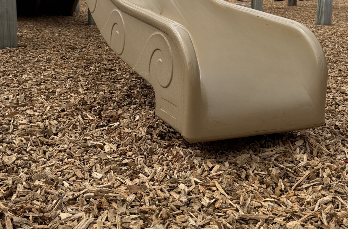The Wool Shed Park - Rolleston