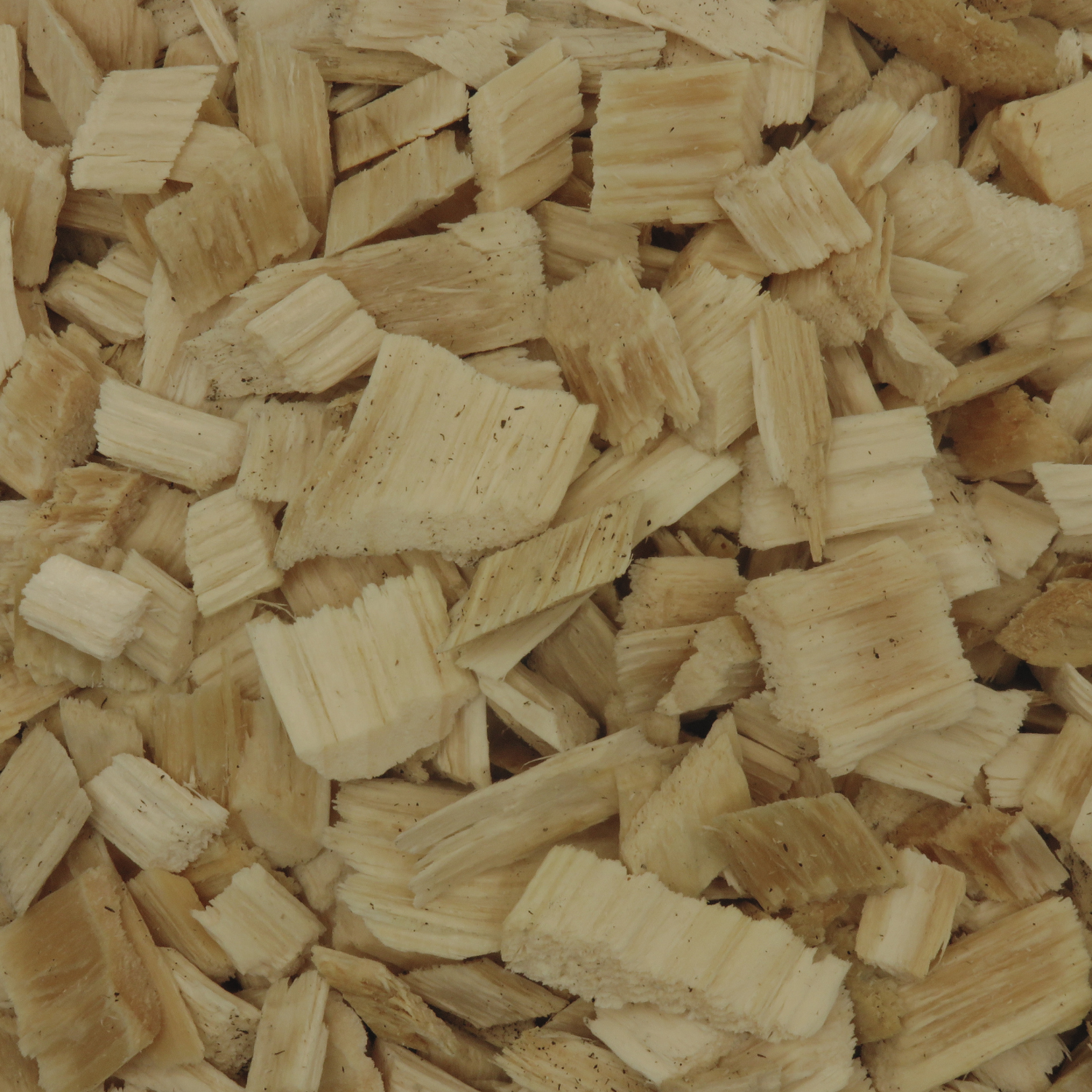 Safe Fall Playground Chip