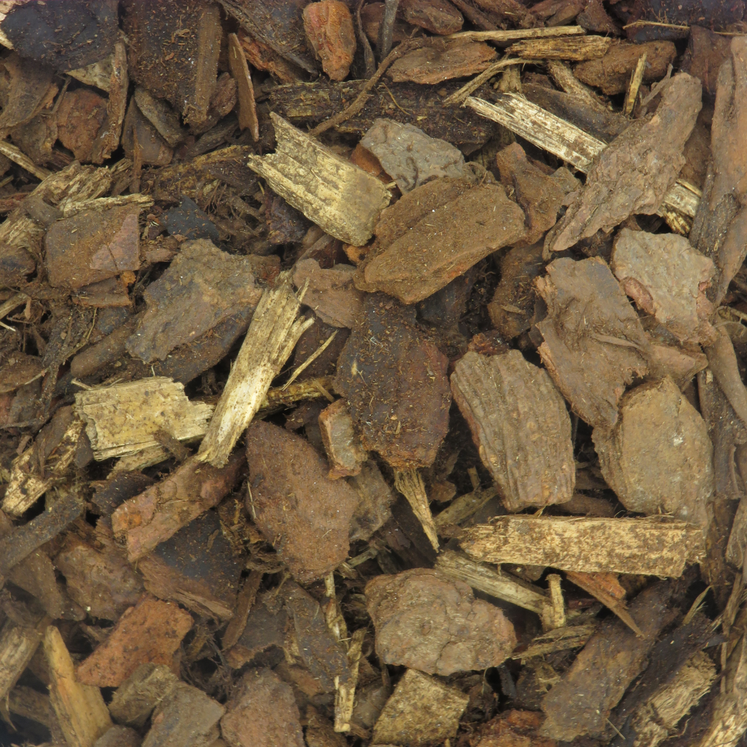 Standard Bark Nuggets 25mm