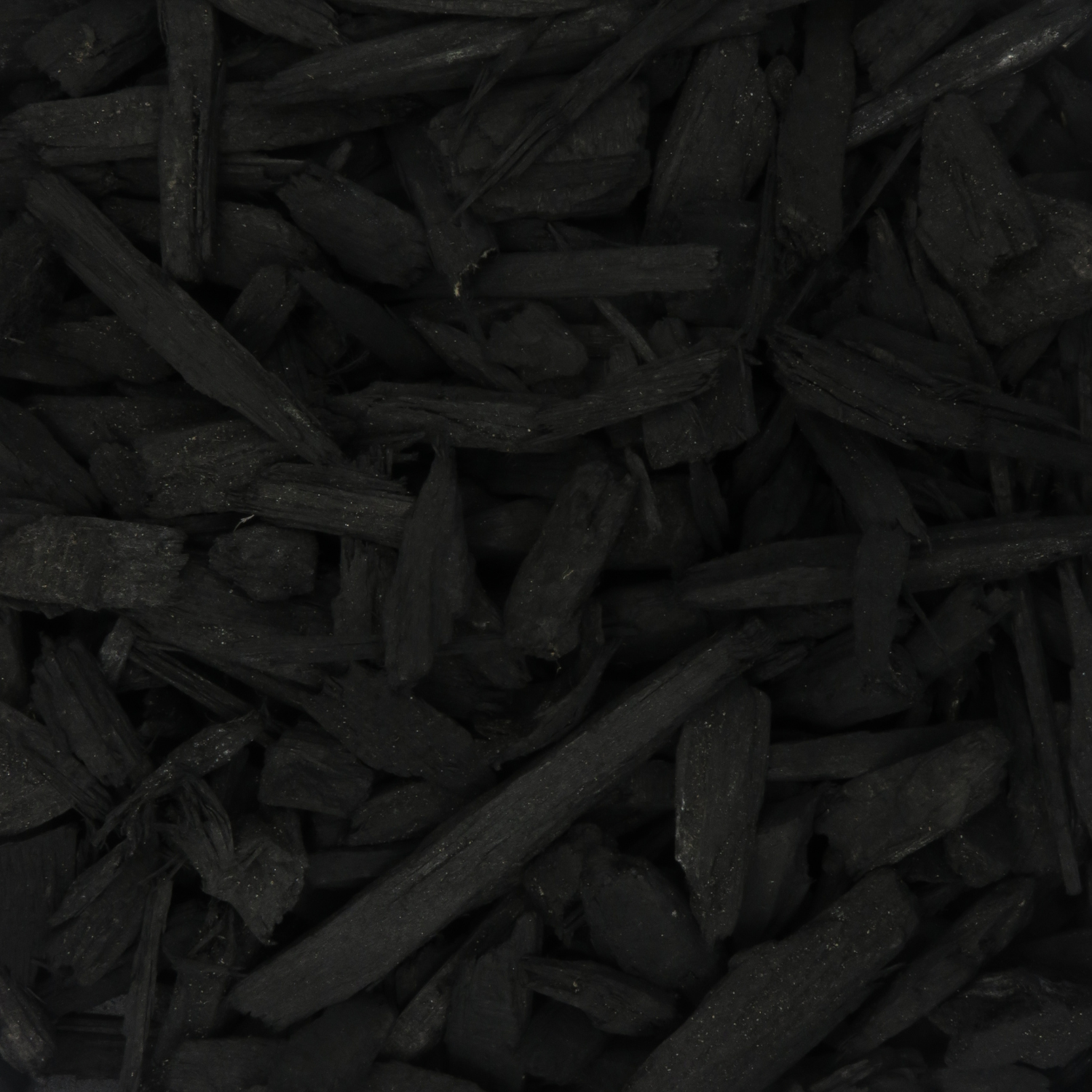 Black Beauty
