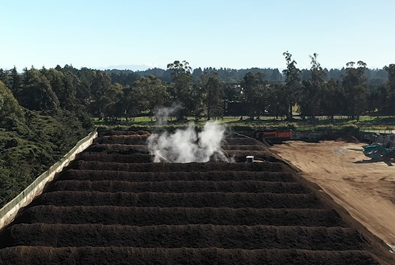 Large piles of mulch with steam rising from some of them in an outdoor compost processing facility New Zealand