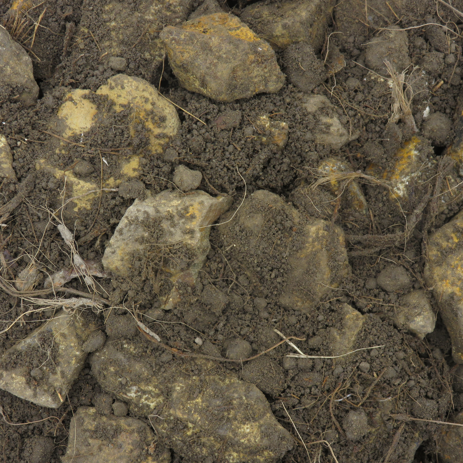 Structural Soil Mix