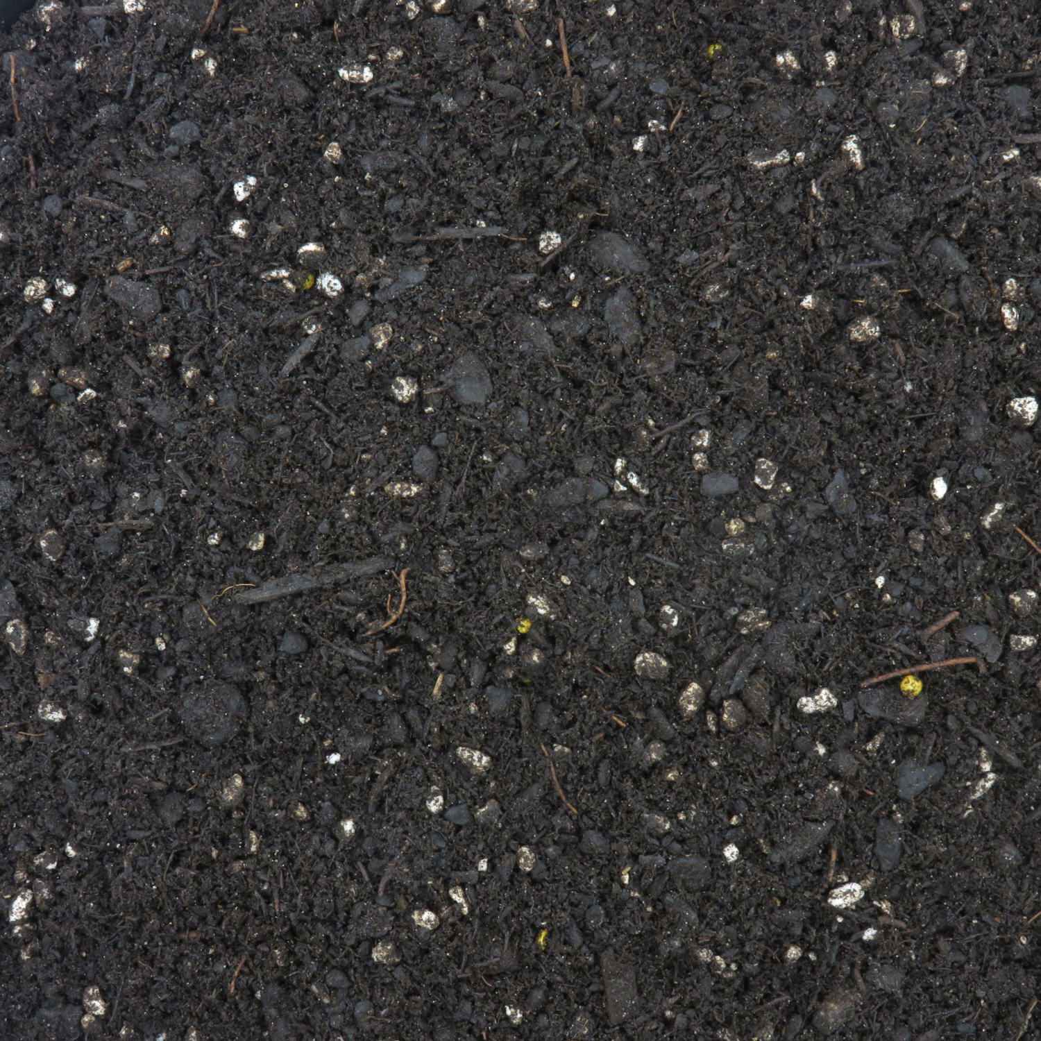 Seed Raising Mix