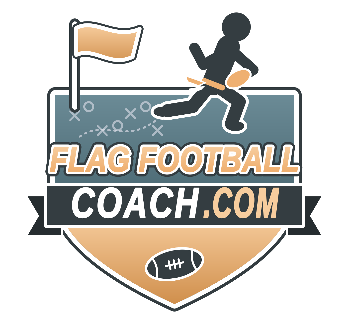 Flag Football Coach 
