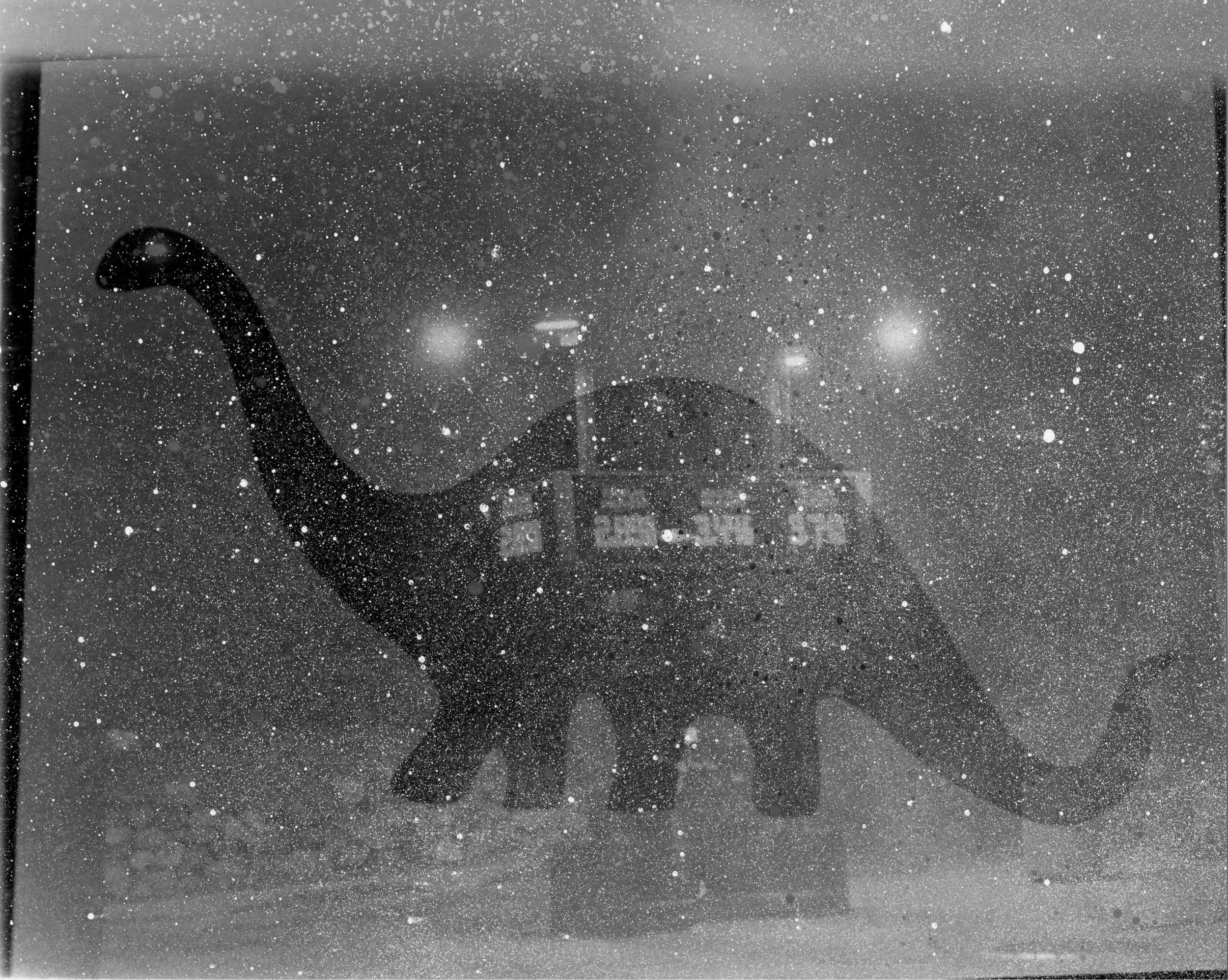 Double Frame Exposure 2025