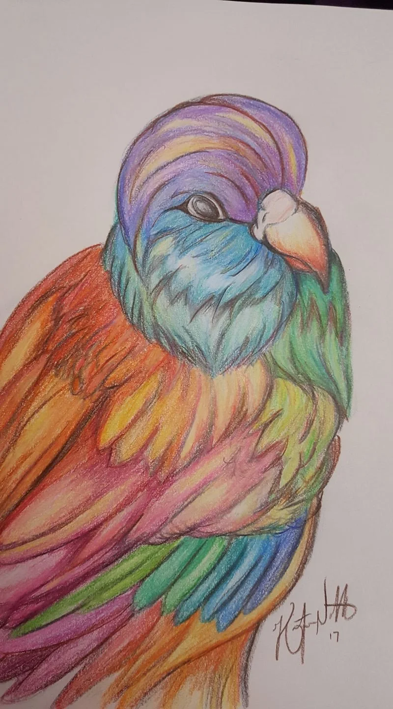 Colored Pencil Drawing 2017