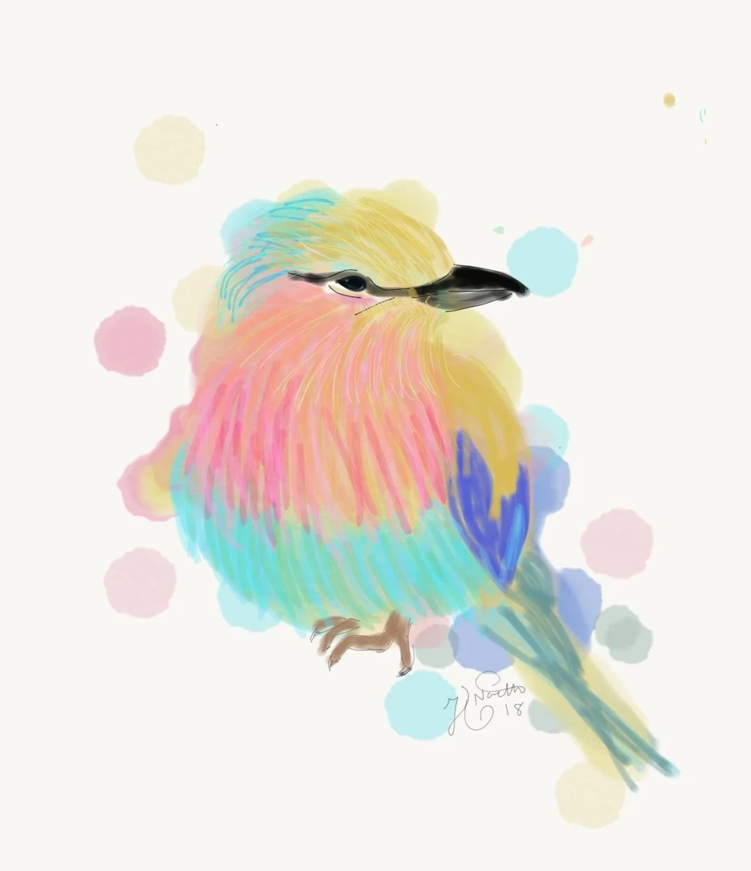 Bird 2017