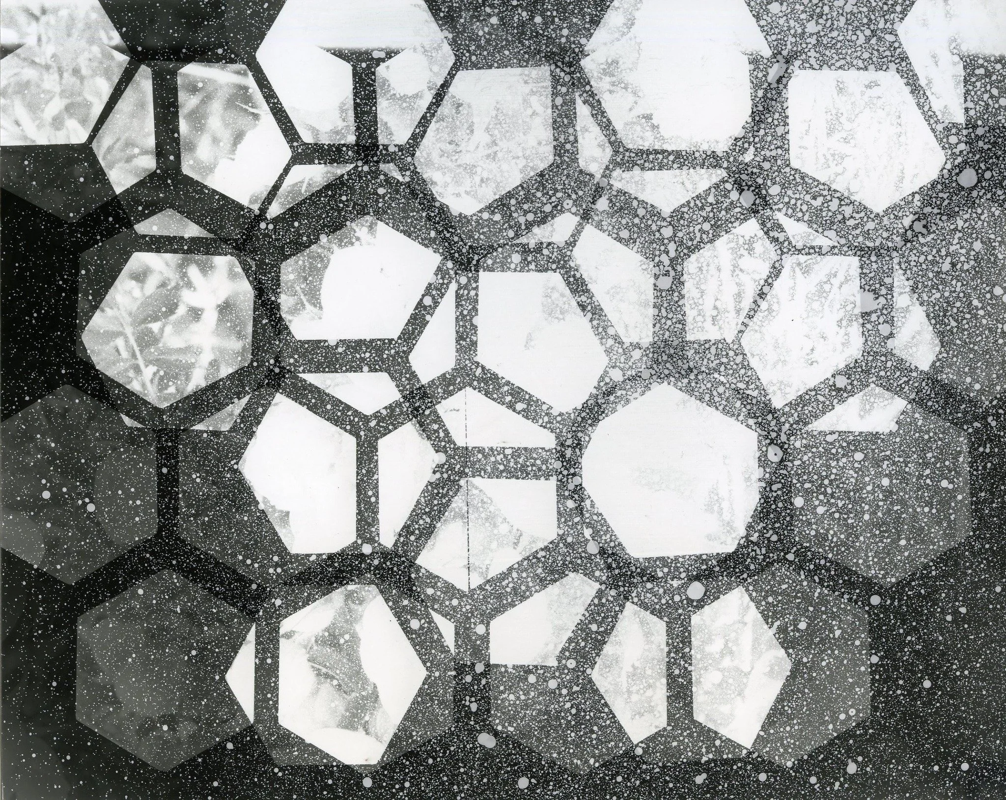 Photogram 2 2024