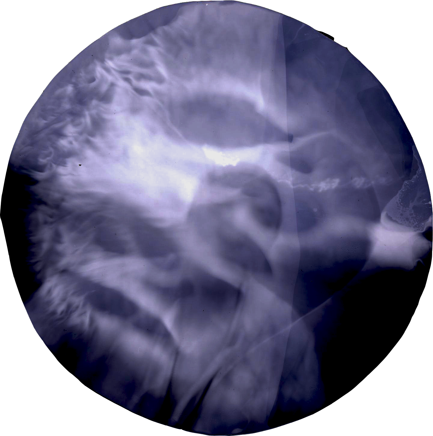 Series 3: Movement at Play 2025