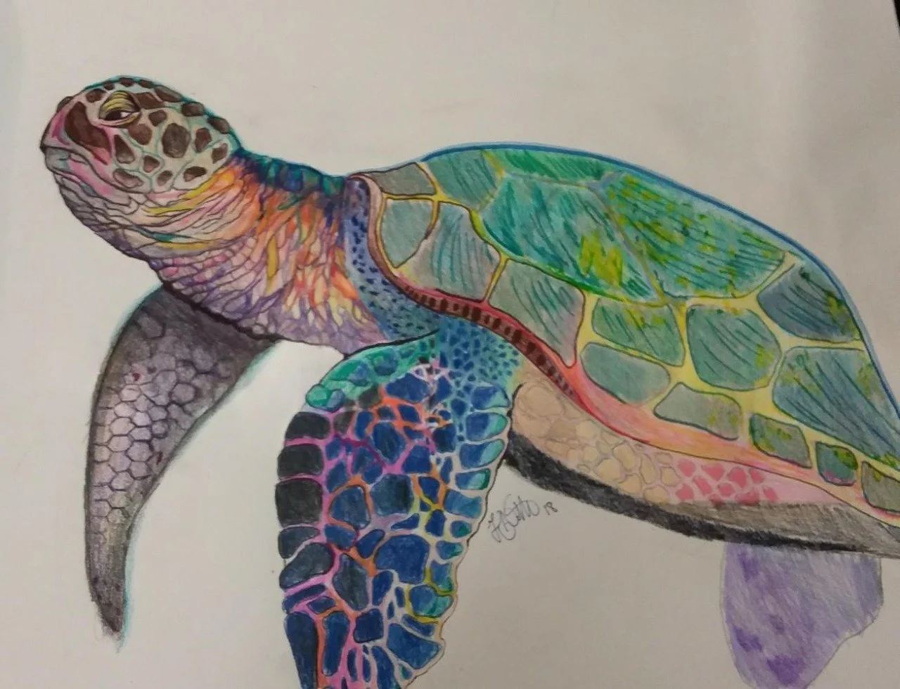 Colored Pencil Drawing 2019
