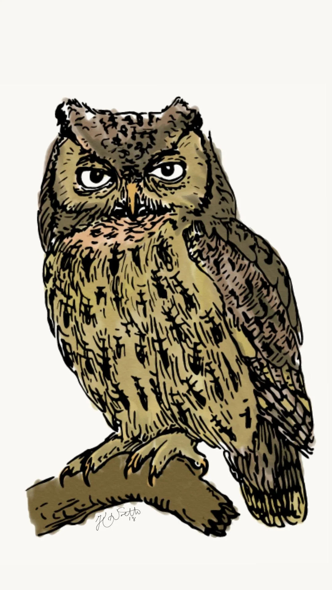 Owl 2018