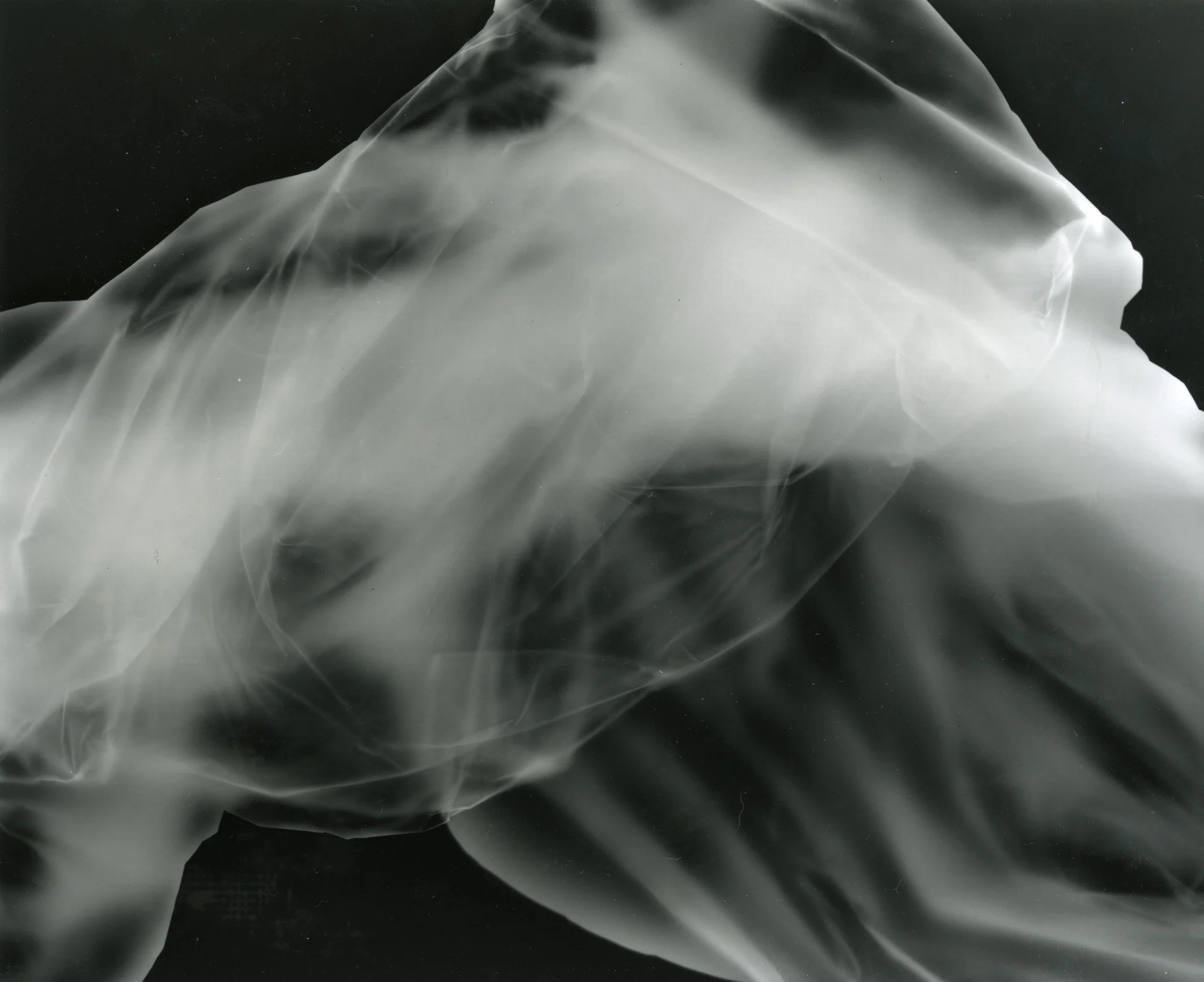 Photogram 4 2023