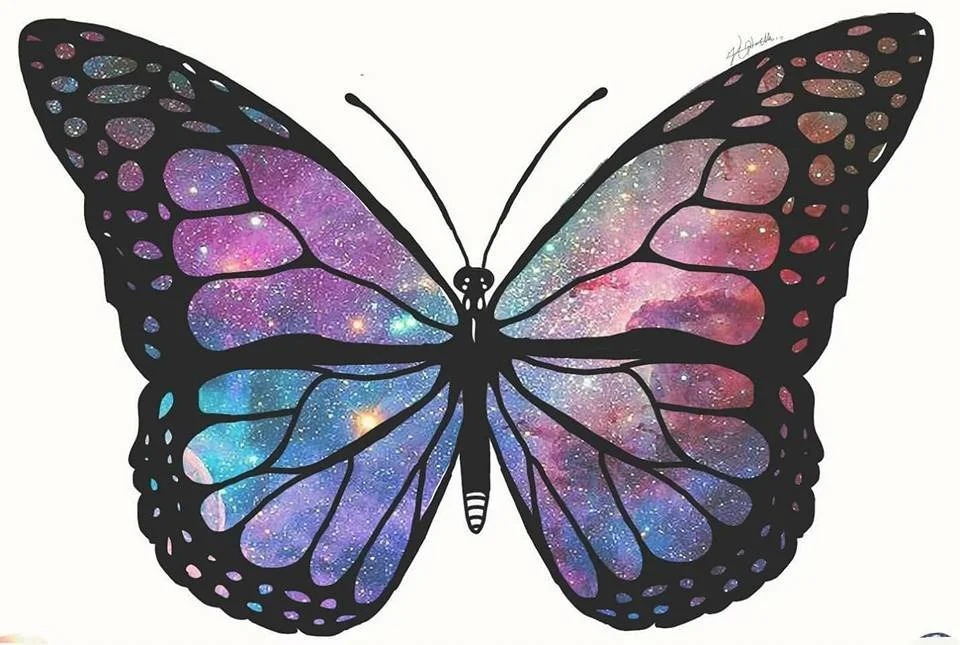 Butterfly 2018