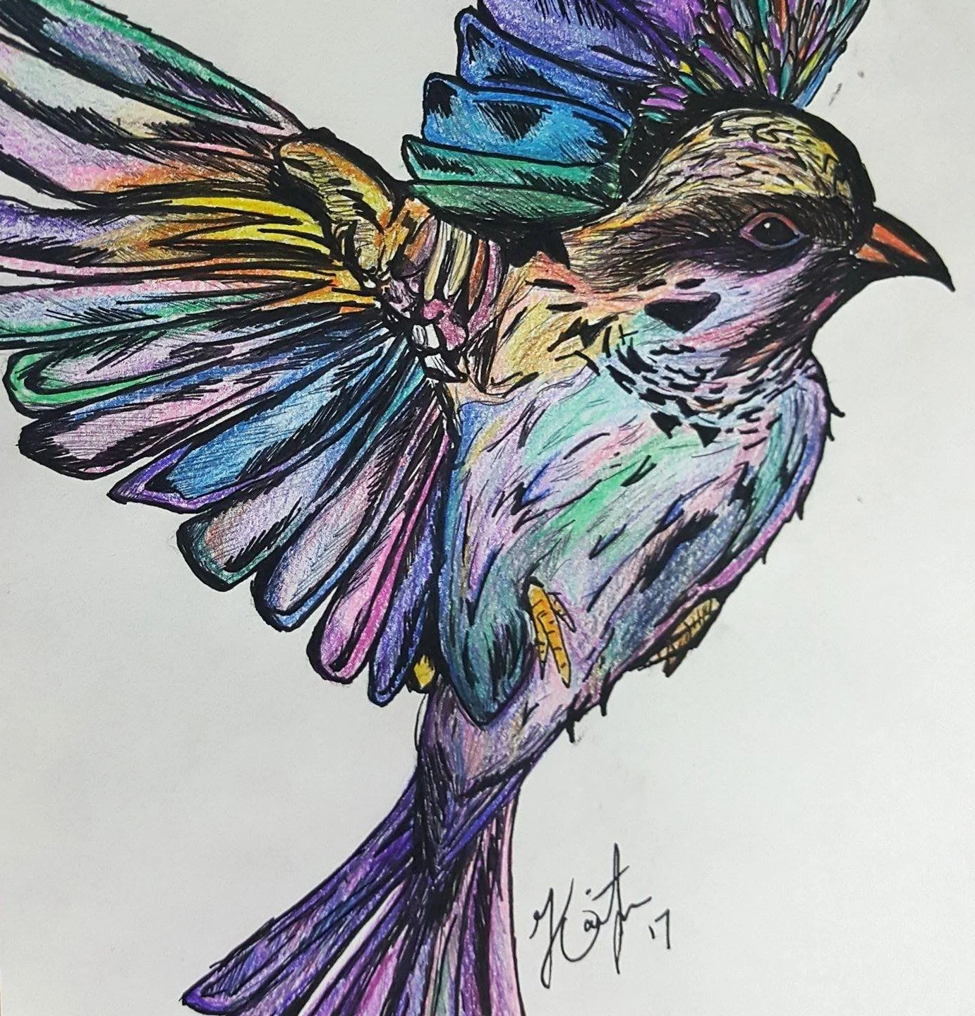 Free - Pen + Colored Pencil Drawing