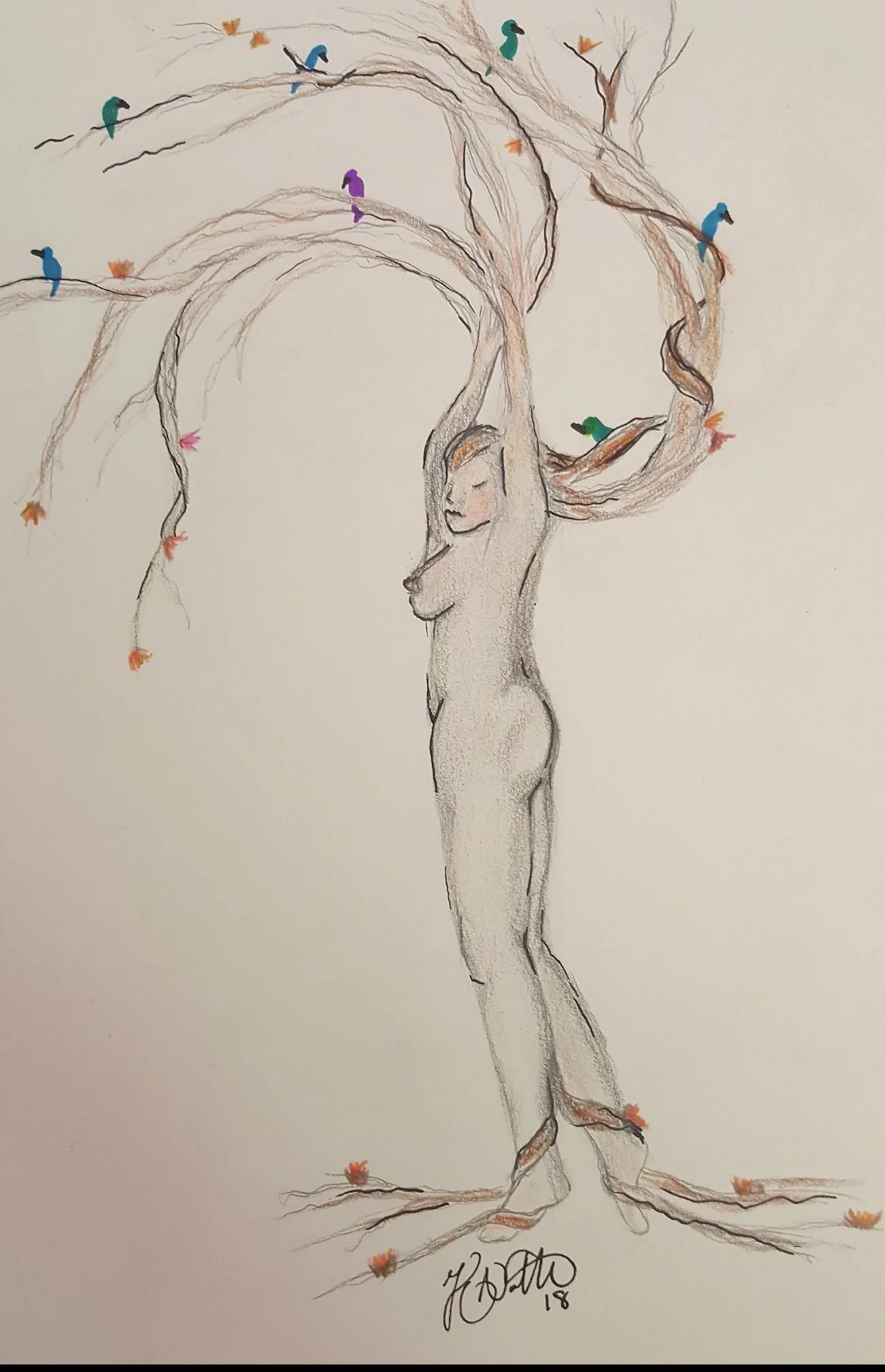 Colored Pencil + Graphite Drawing 2018