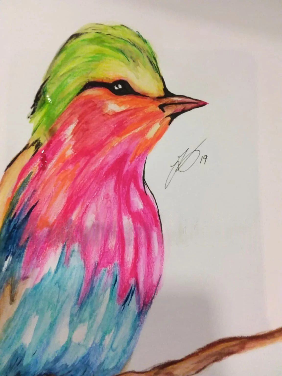Watercolor Pencil Drawing 2017